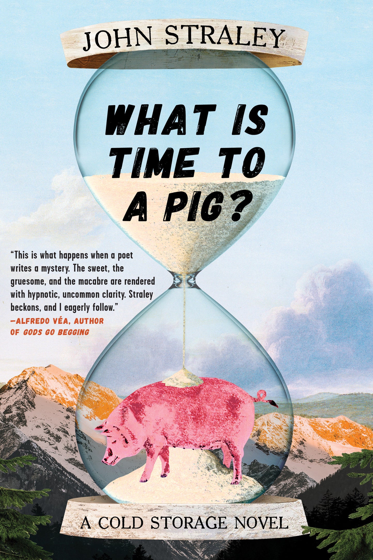 What Is Time to a Pig? (A Cold Storage Novel) (Book:3)