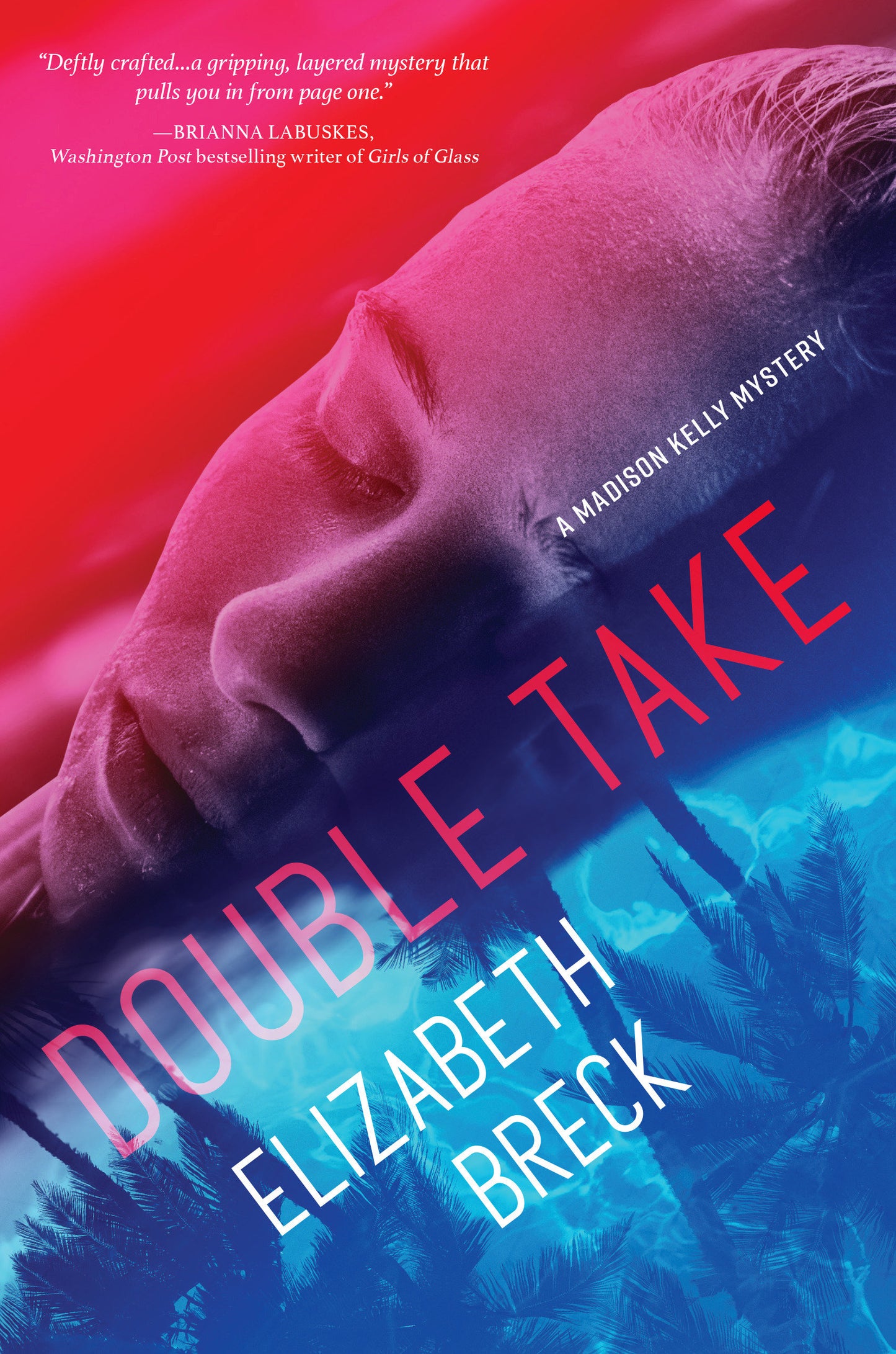 Double Take - A Madison Kelly Mystery (A Madison Kelly Mystery) (Book:2)