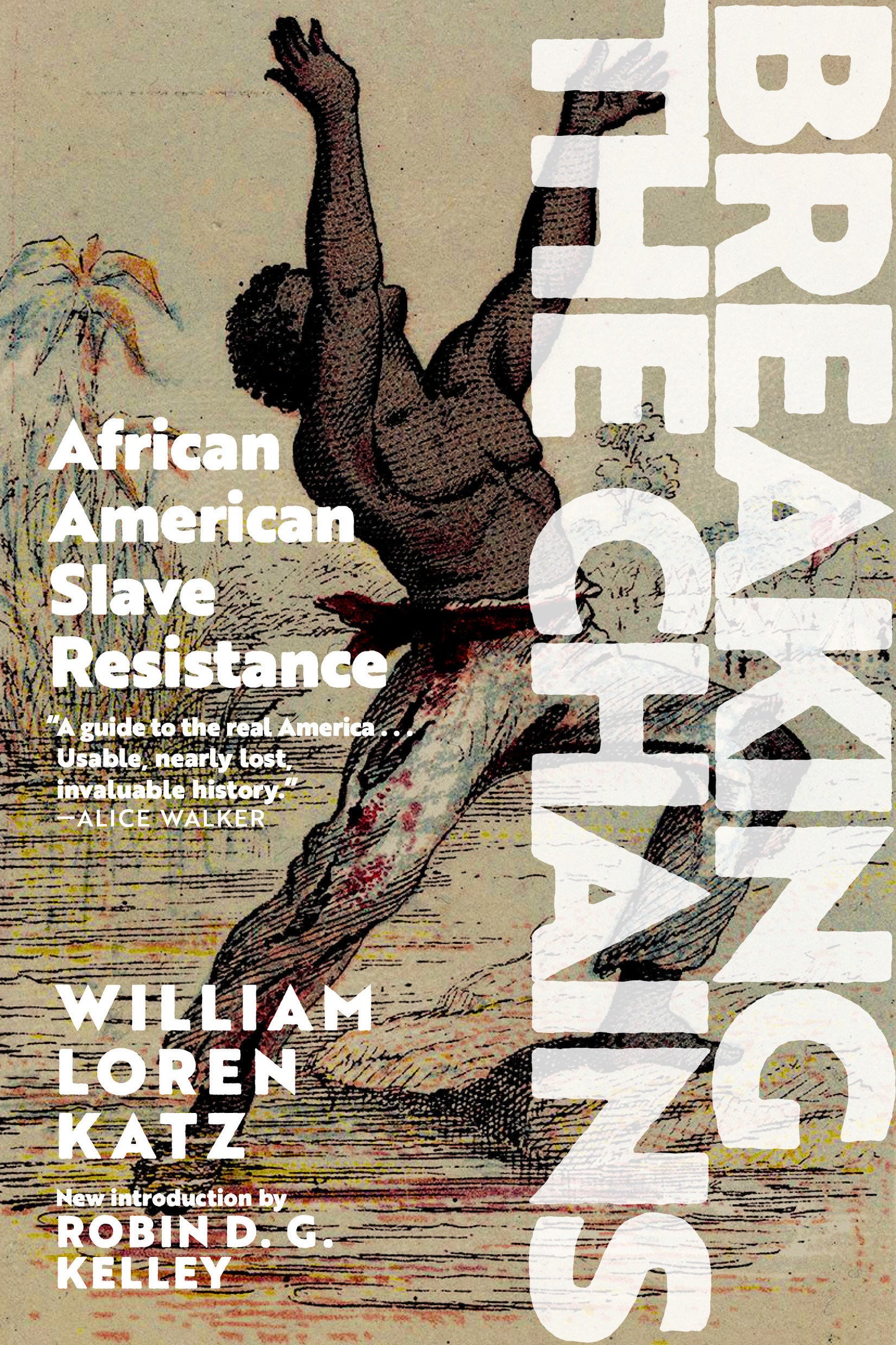 Breaking the Chains - African American Slave Resistance