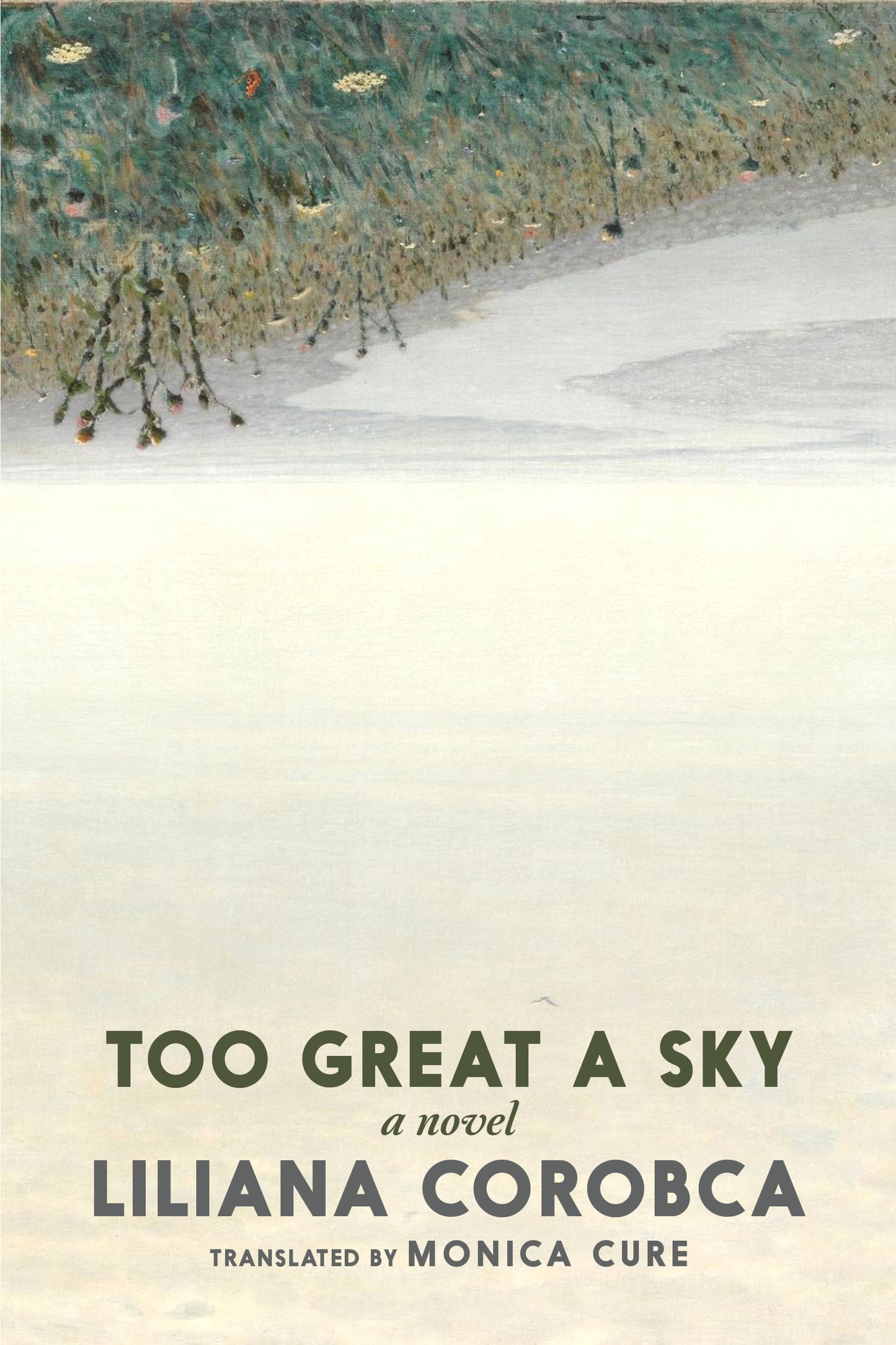 Too Great a Sky - A Novel