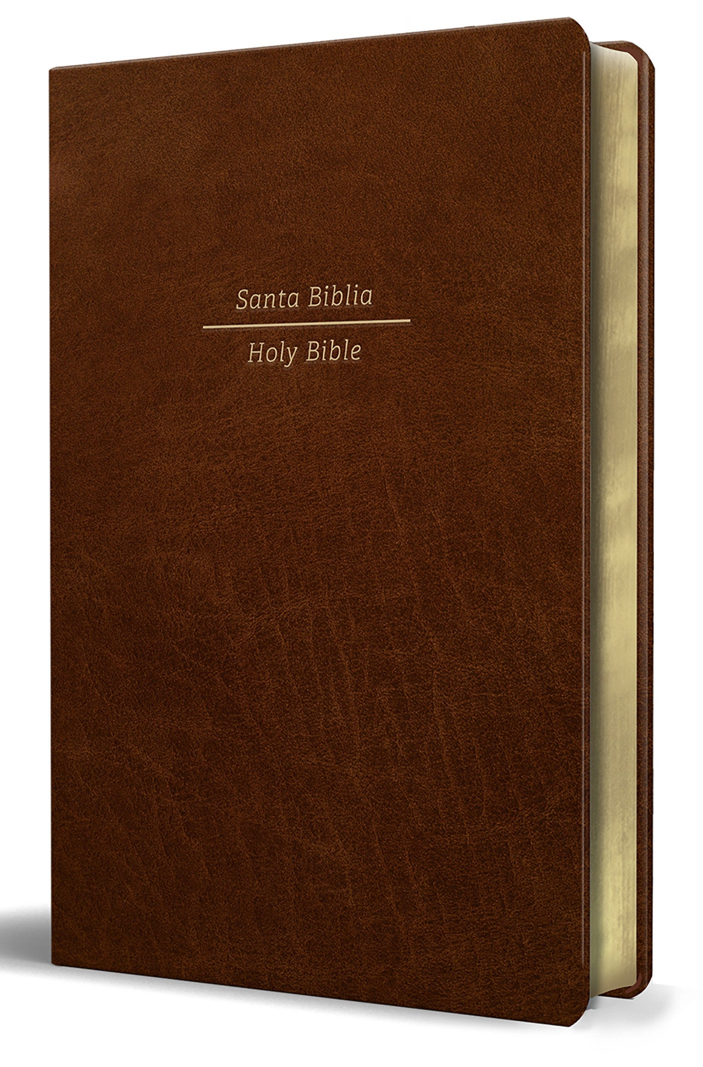 Biblia Biling�e Reina Valera 1960/ESV Tama�o grande piel marr�n / Bilingual Bible RVR60/English Standard Large Size Large Print Leather