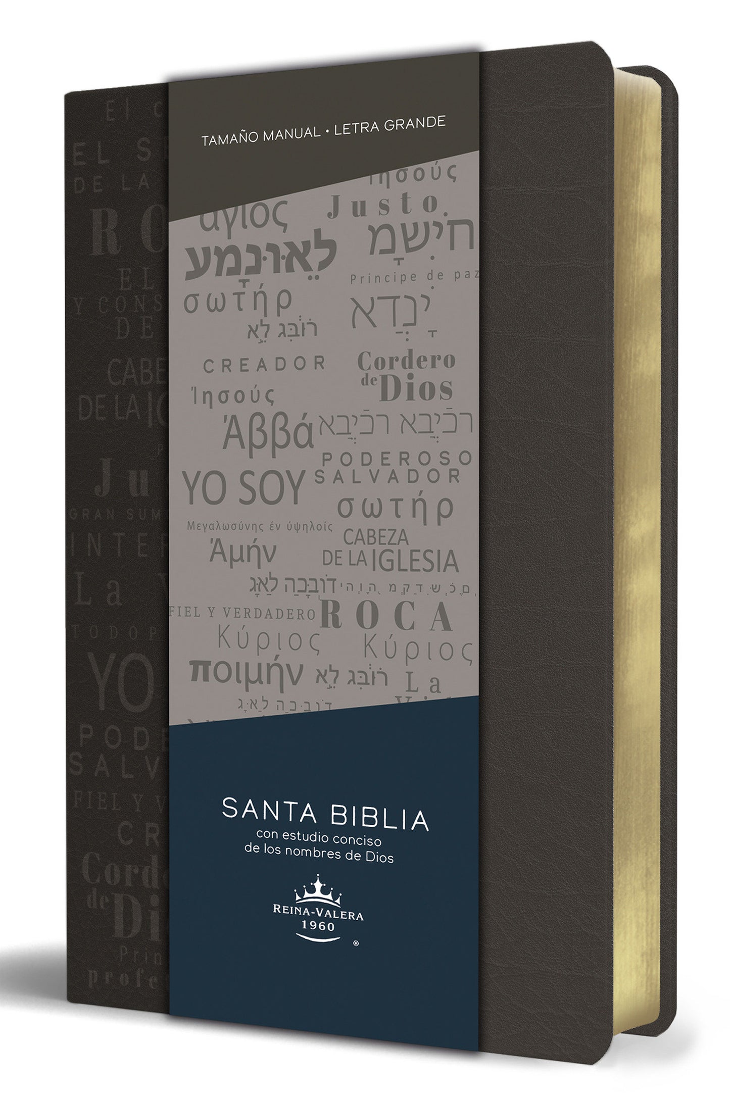 Biblia RVR 1960 letra grande tama�o manual, simil piel gris con nombres de Dios / Spanish Bible RVR 1960 Handy Size Large Print Leathersoft Grey, Names of god