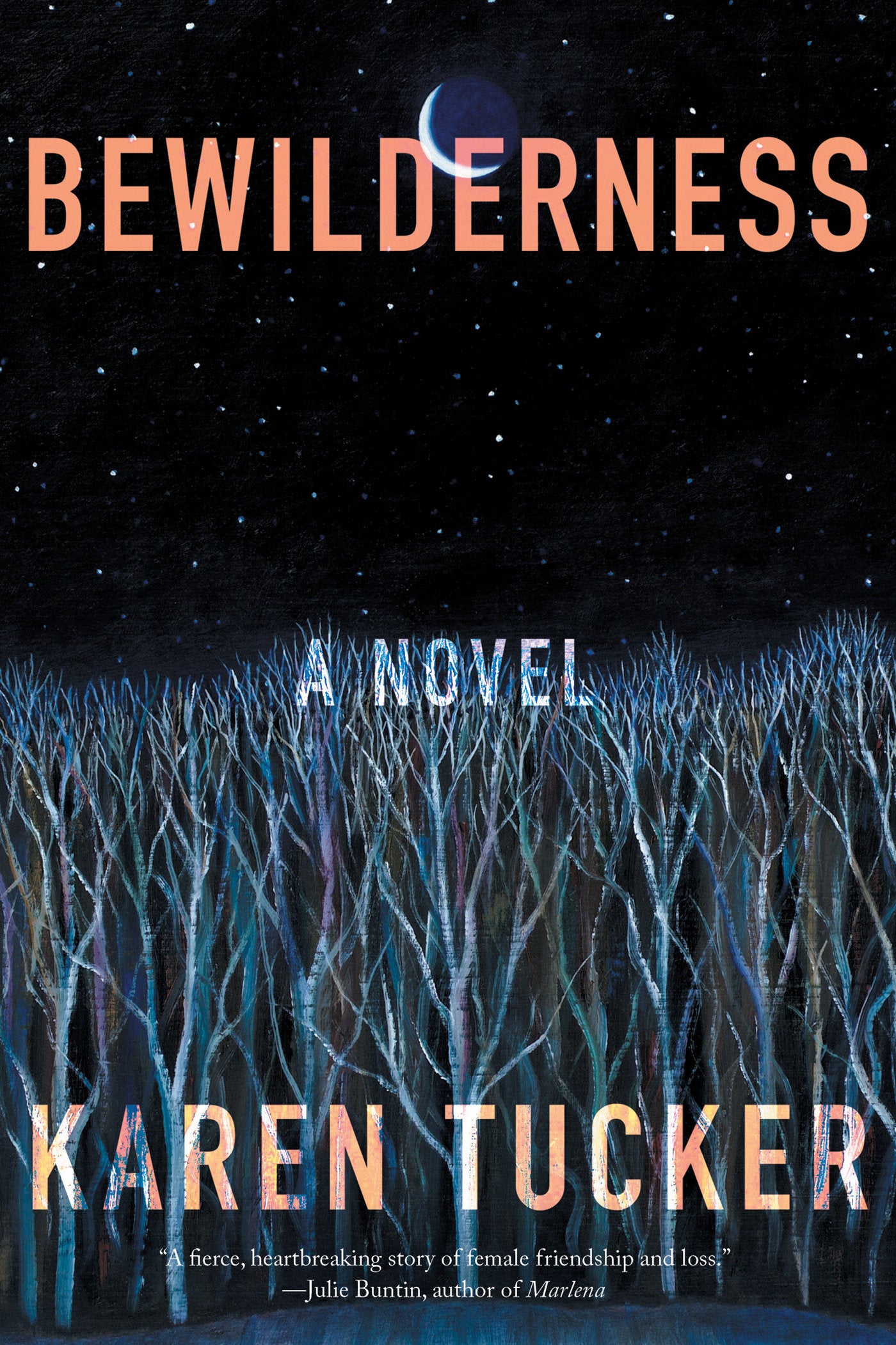 Bewilderness - A Novel