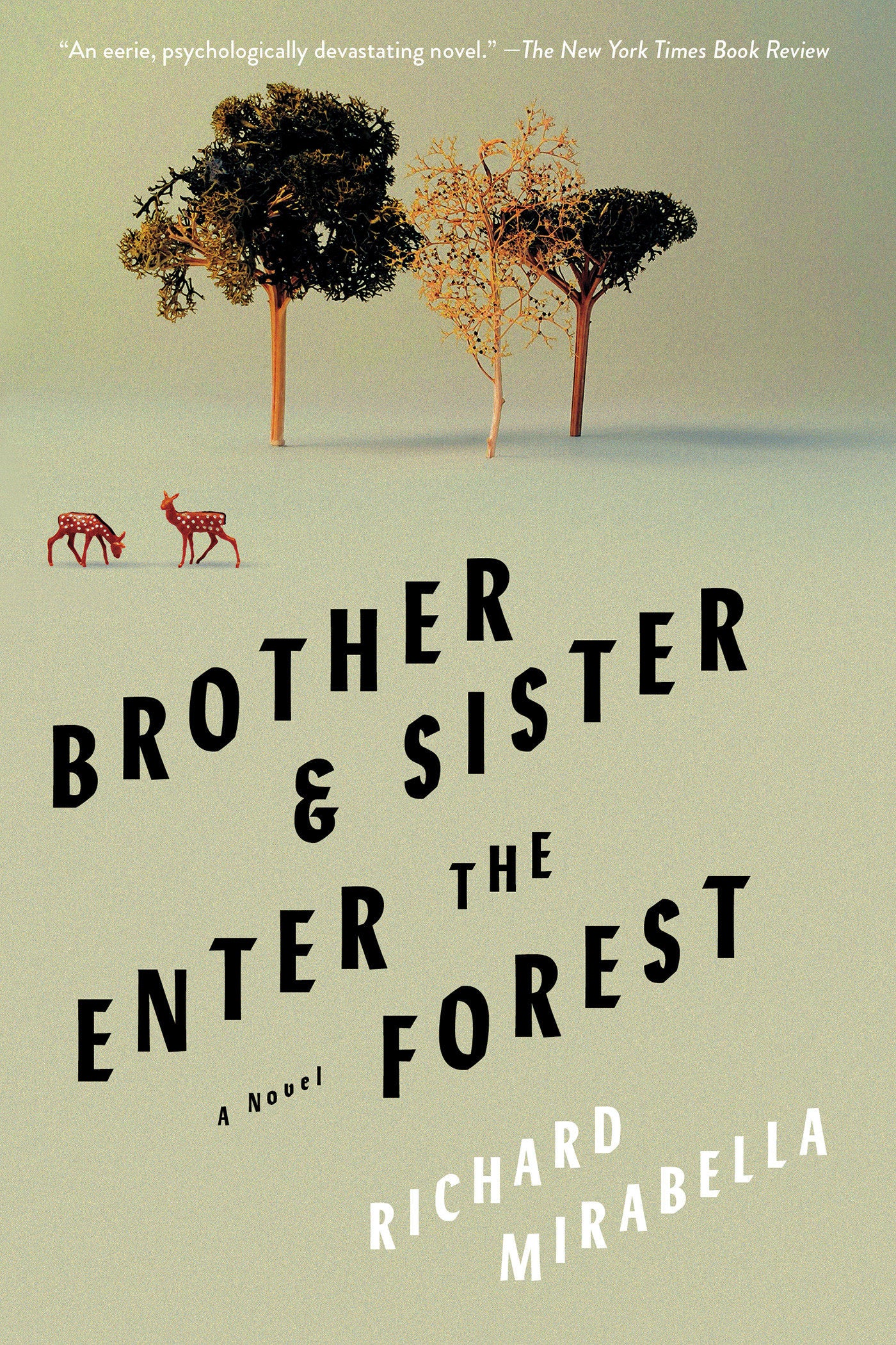 Brother & Sister Enter the Forest - A Novel