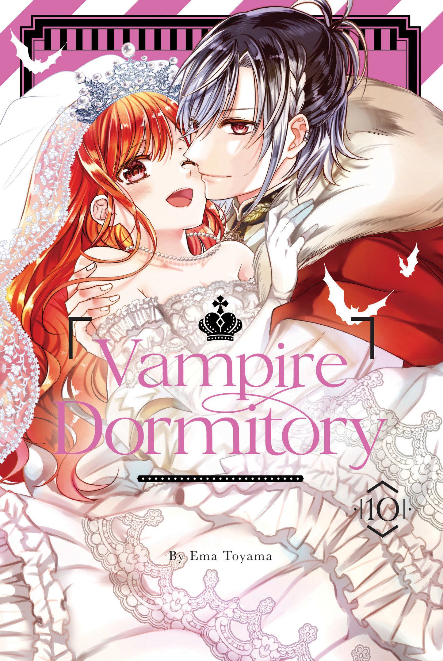Vampire Dormitory 10 (Vampire Dormitory) (Book:10)