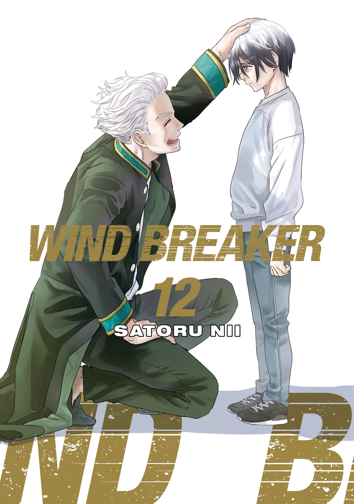 WIND BREAKER 12 (WIND BREAKER) (Book:12)