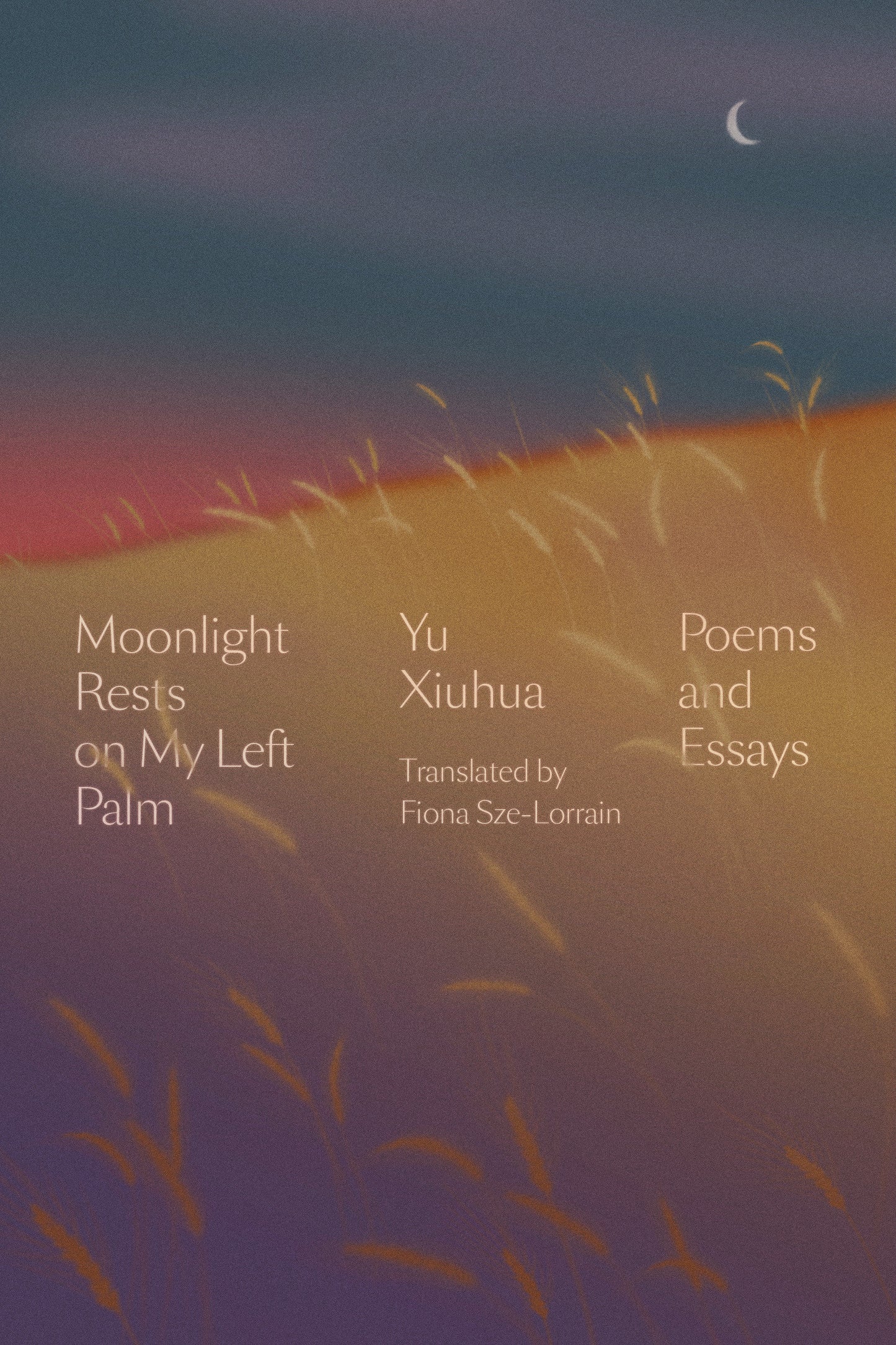 Moonlight Rests on My Left Palm - Poems and Essays