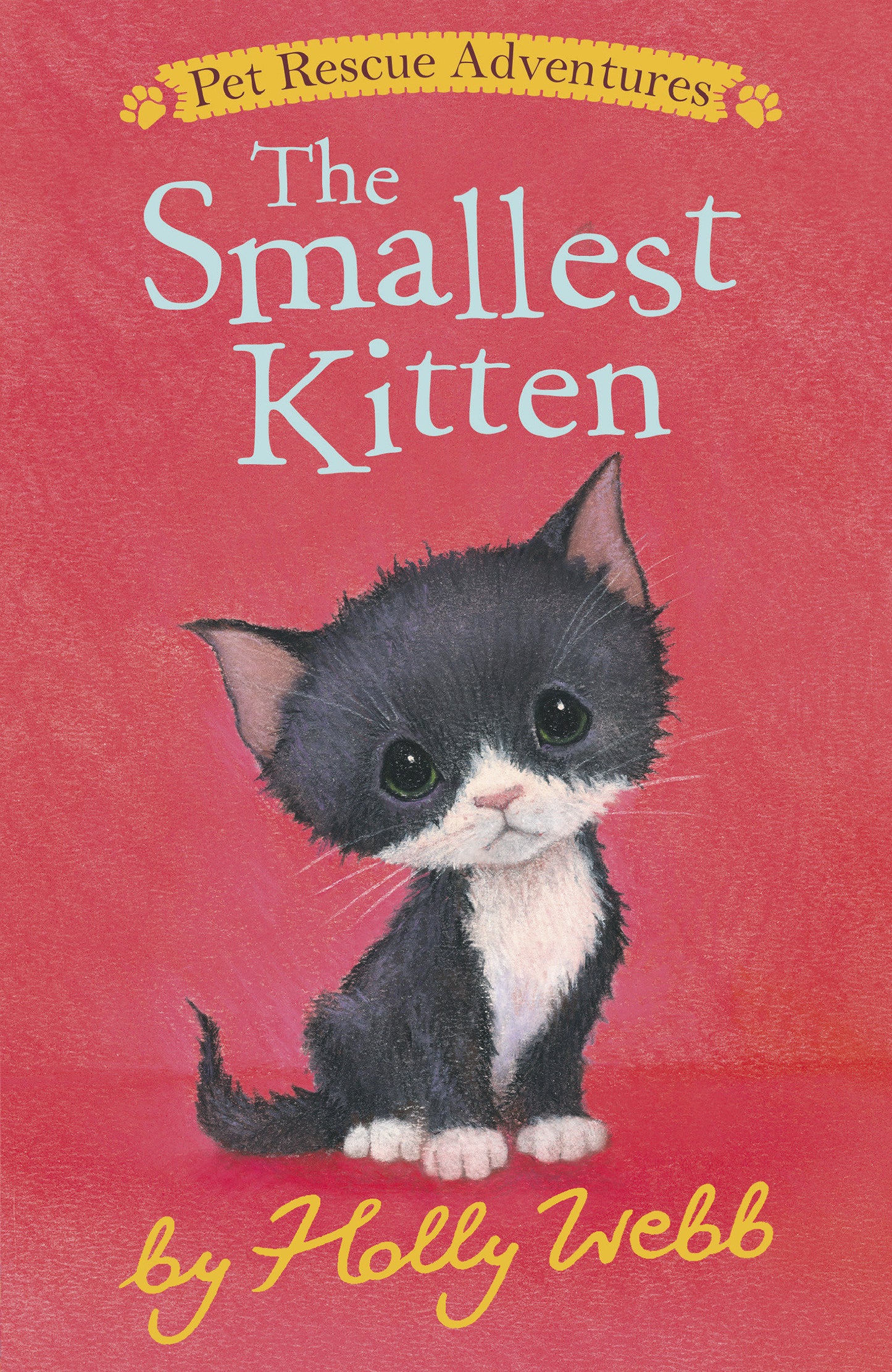 The Smallest Kitten (Pet Rescue Adventures)