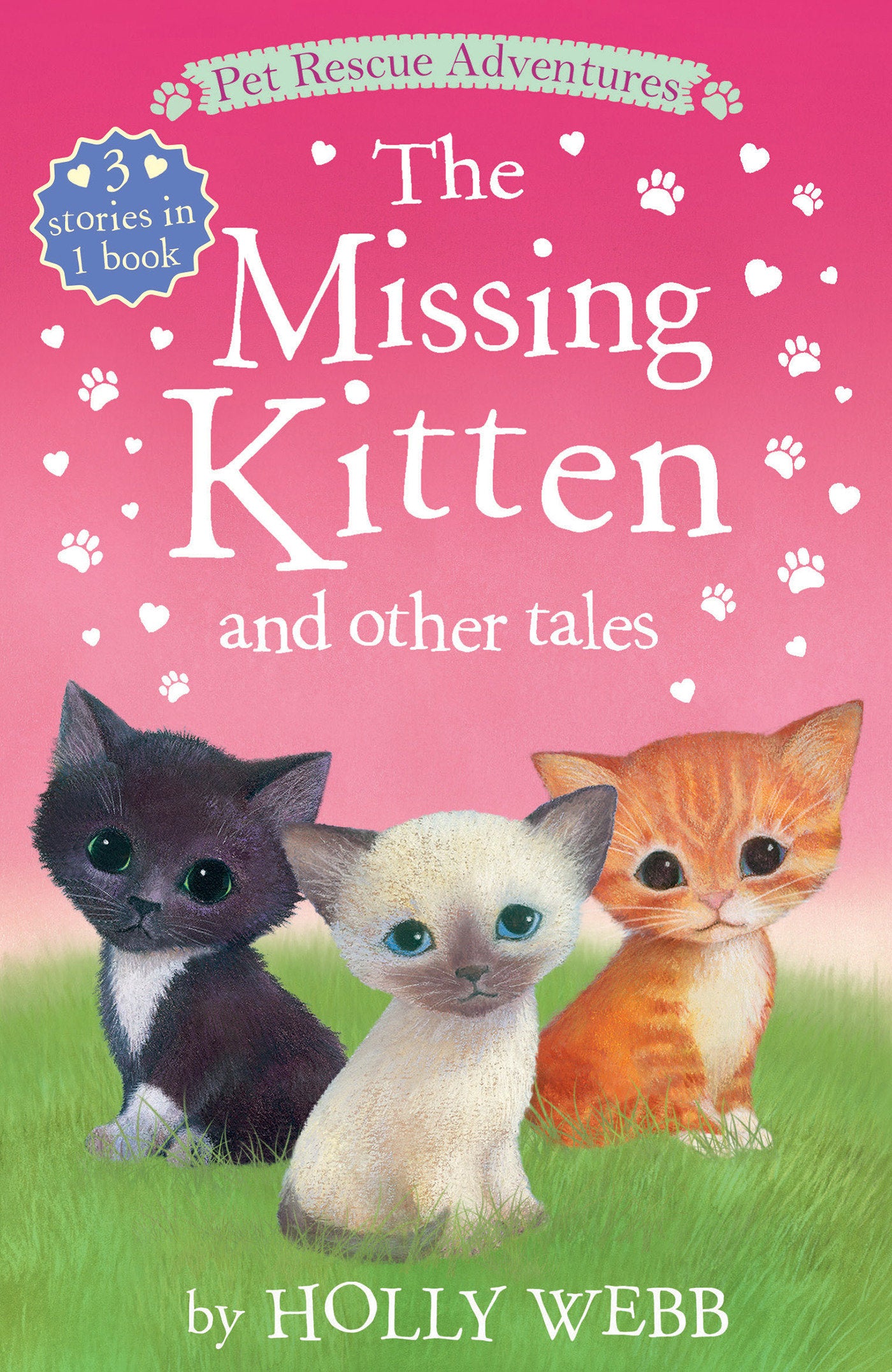 The Missing Kitten and Other Tales - The Missing Kitten; The Unwanted Kitten; The Abandoned Kitten (Pet Rescue Adventures)
