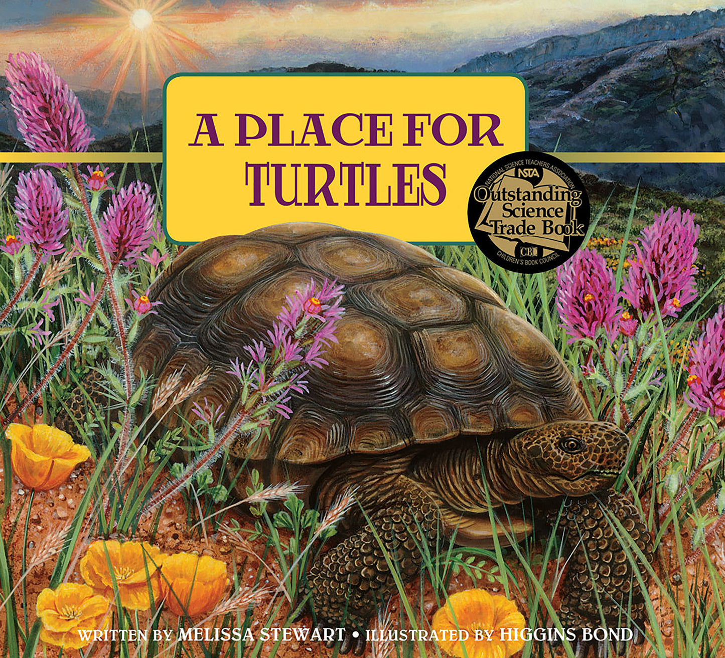 A Place for Turtles (A Place For. . .) (Book:6)