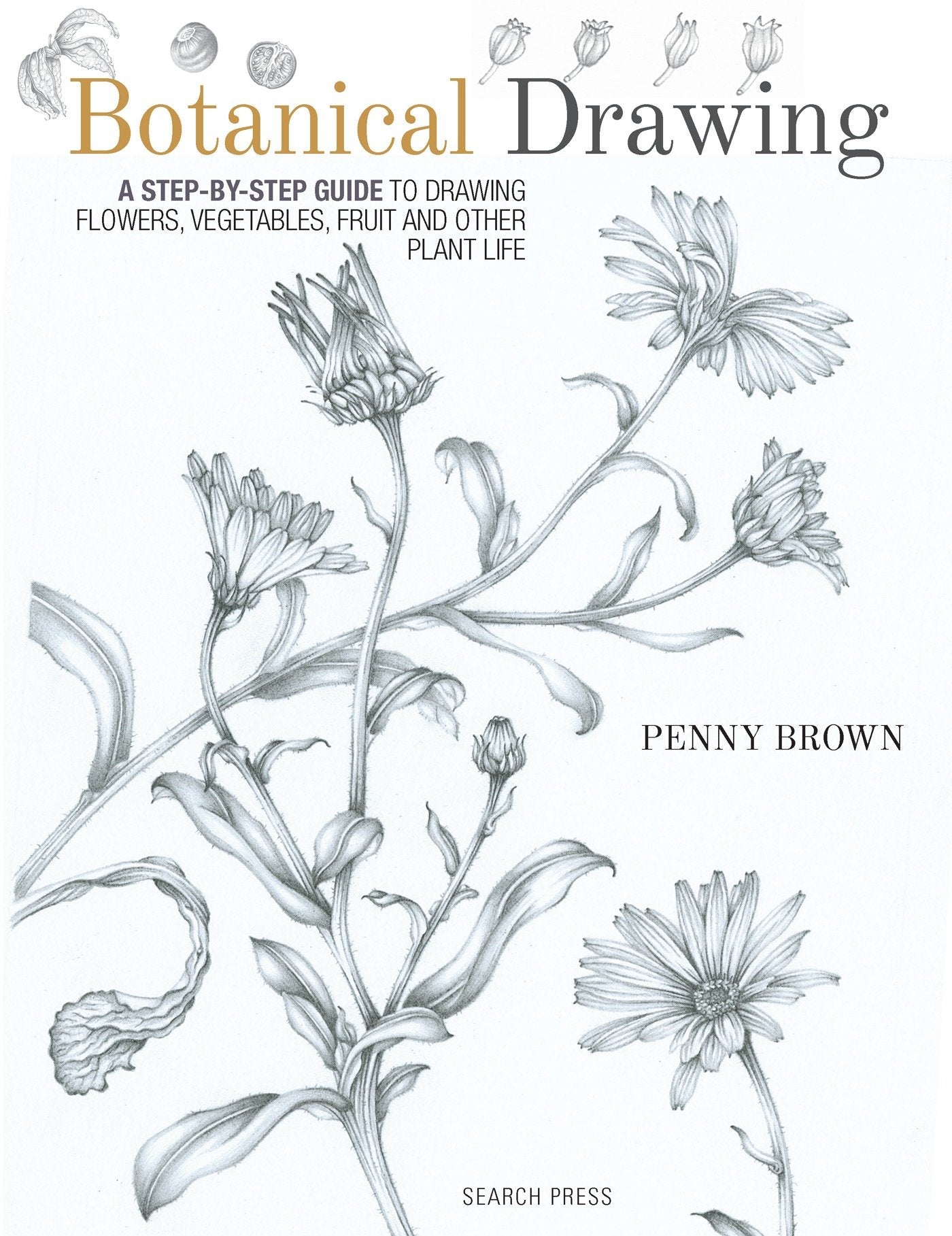 Botanical Drawing - A Step-by-Step Guide to Drawing Flowers, Vegetables, Fruit and other Plant Life