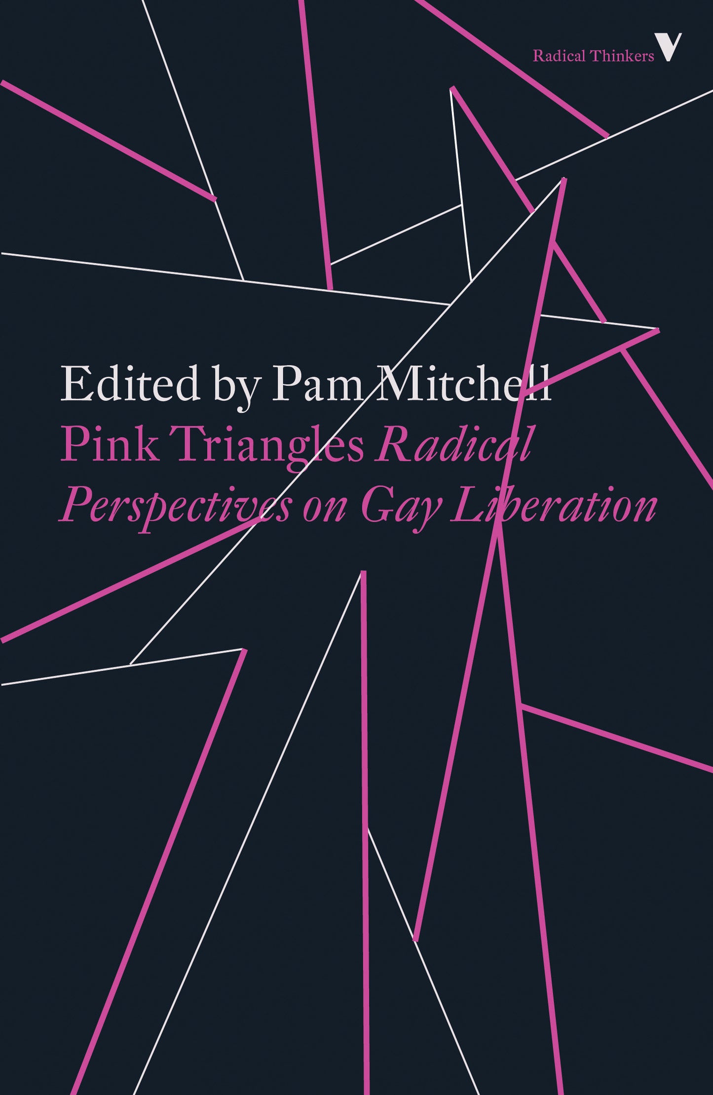 Pink Triangles - Radical Perspectives on Gay Liberation
