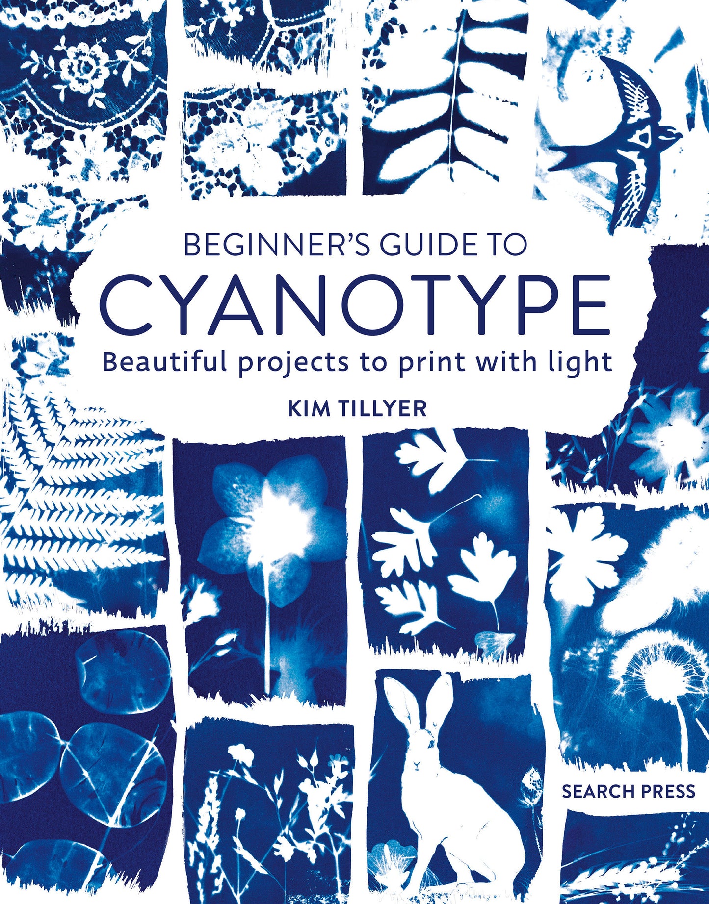 Beginner�s Guide to Cyanotype - Beautiful projects to print with light