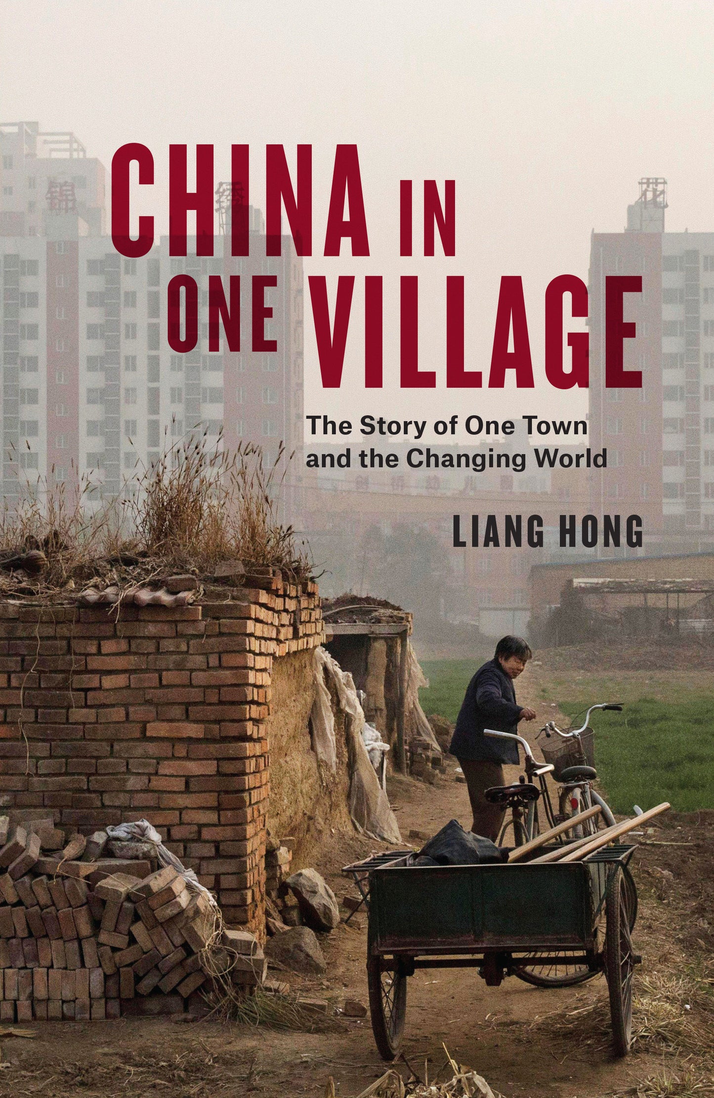 China in One Village - The Story of One Town and the Changing World