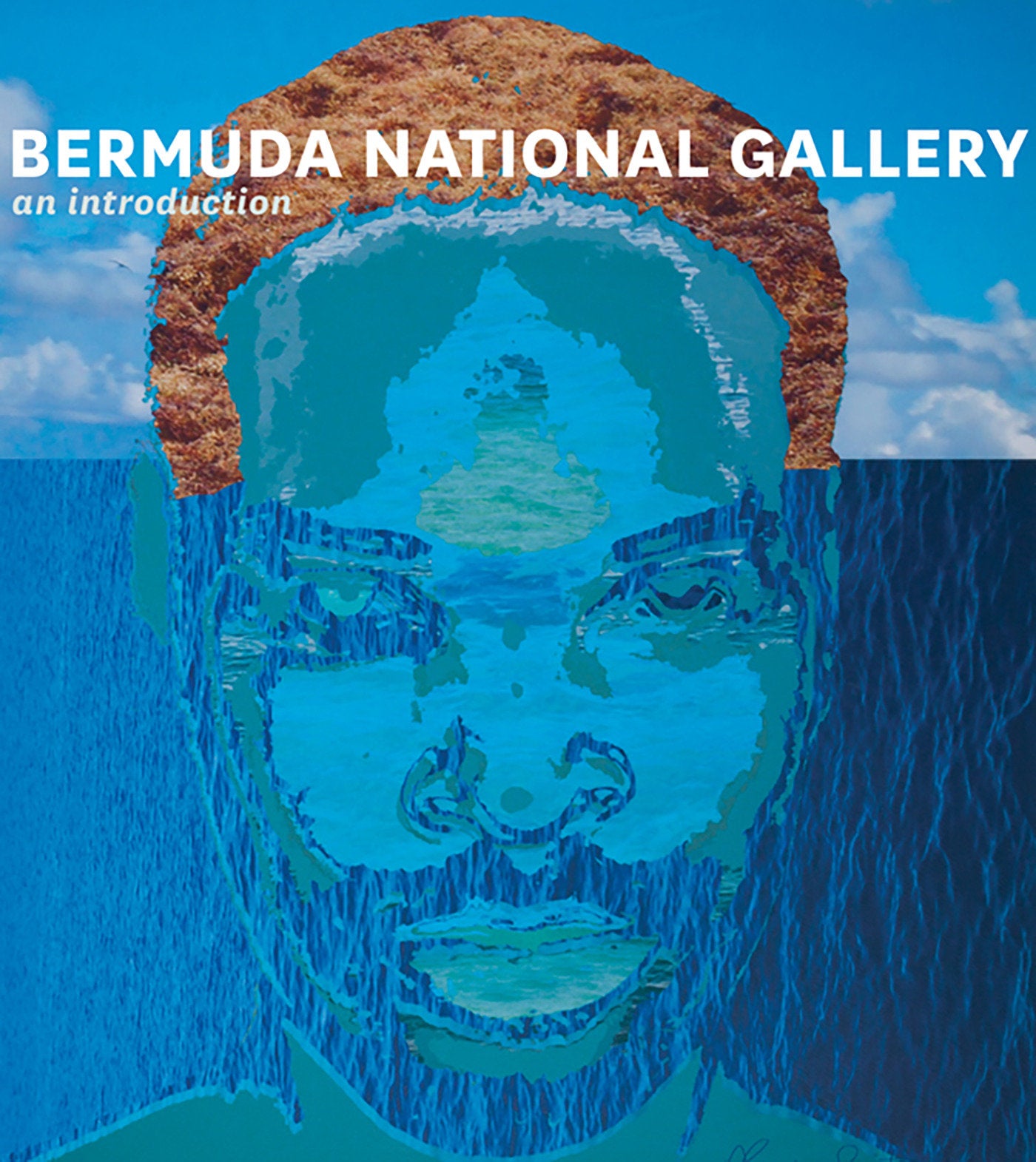 Bermuda National Gallery - An Introduction