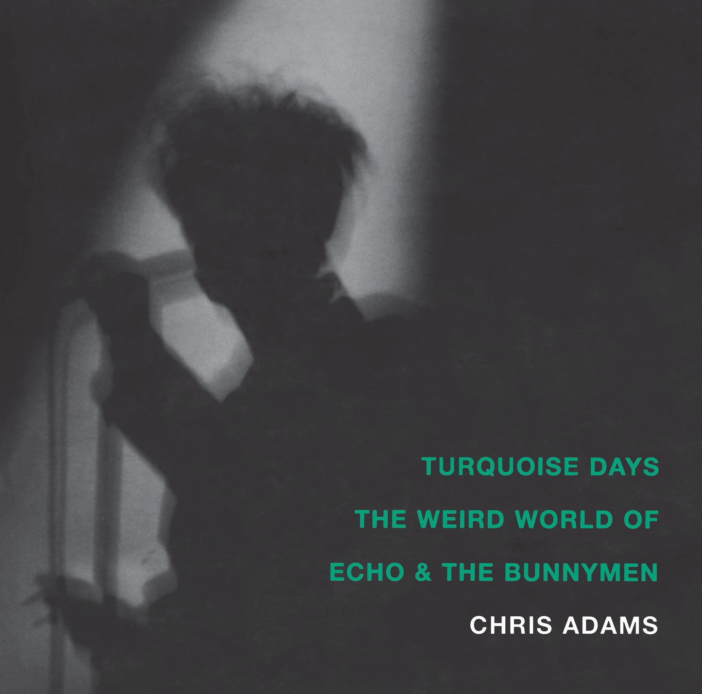 Turquoise Days - The Weird World of Echo and the Bunnymen