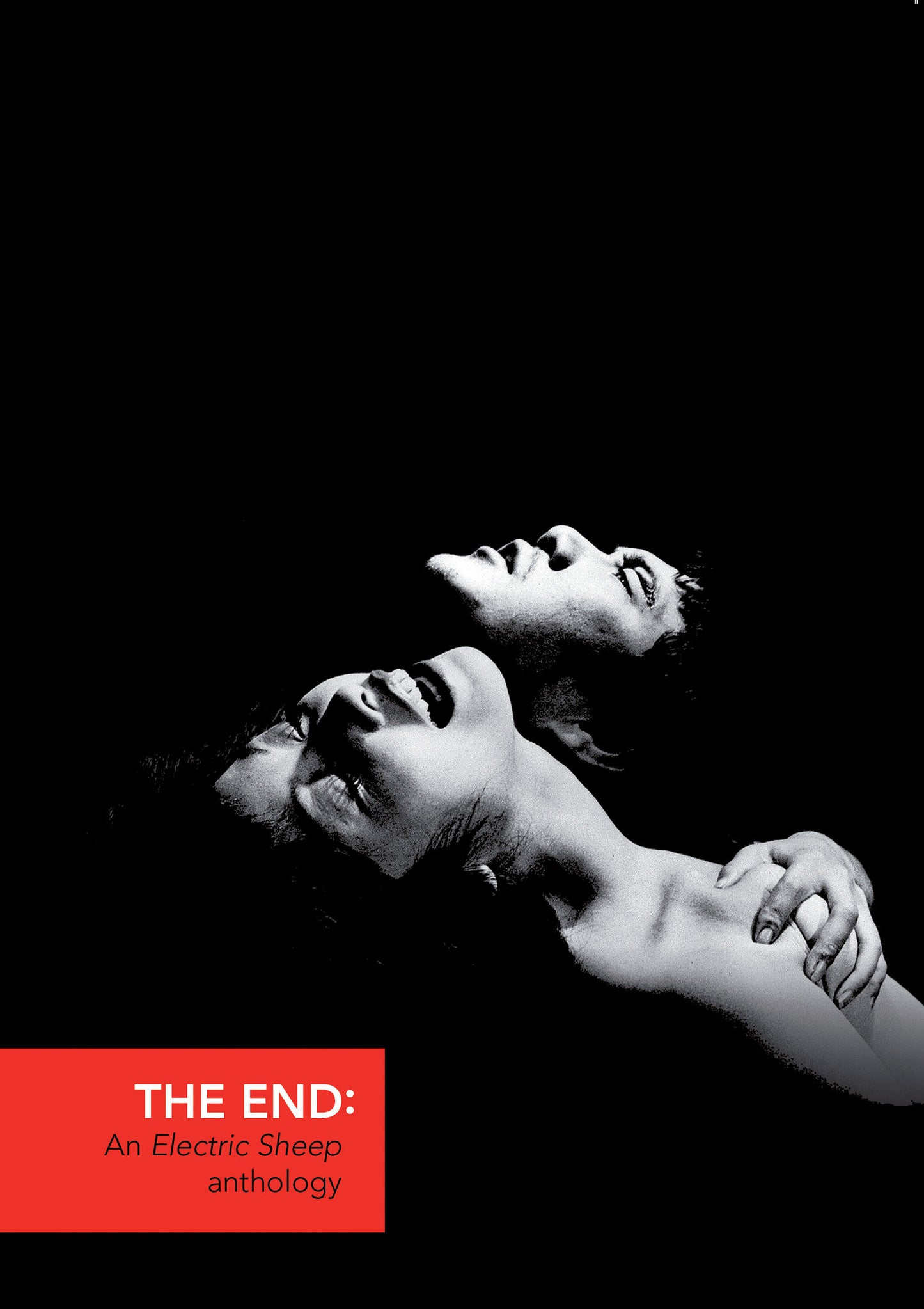 The End - An Electric Sheep Anthology