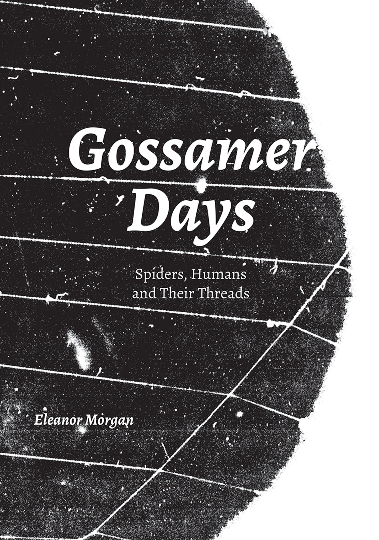 Gossamer Days - Spiders, Humans and Their Threads
