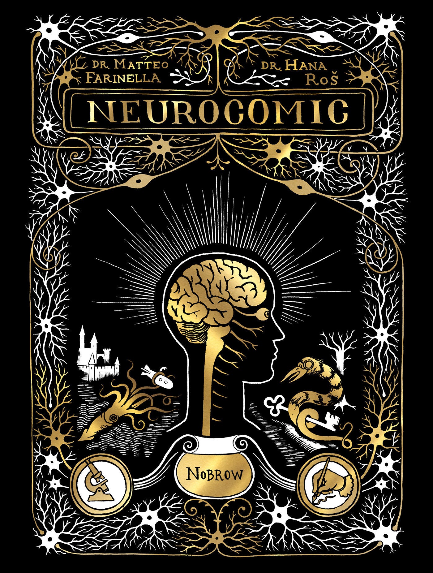 Neurocomic - A Comic About the Brain