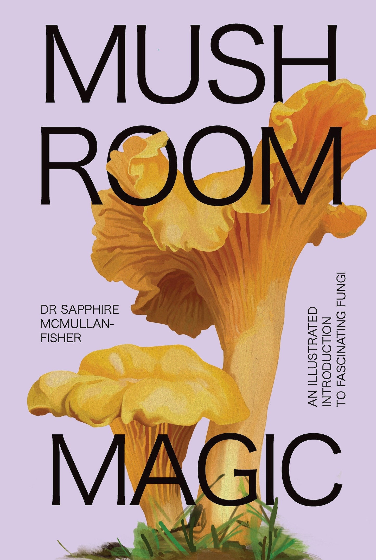 Mushroom Magic - An Illustrated Introduction to Fascinating Fungi
