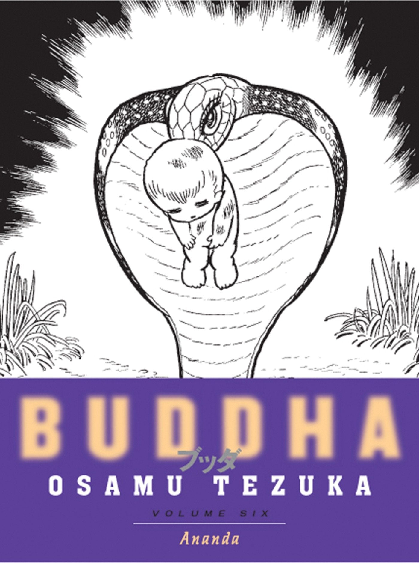 Buddha 6: Ananda (Buddha) (Book:6)