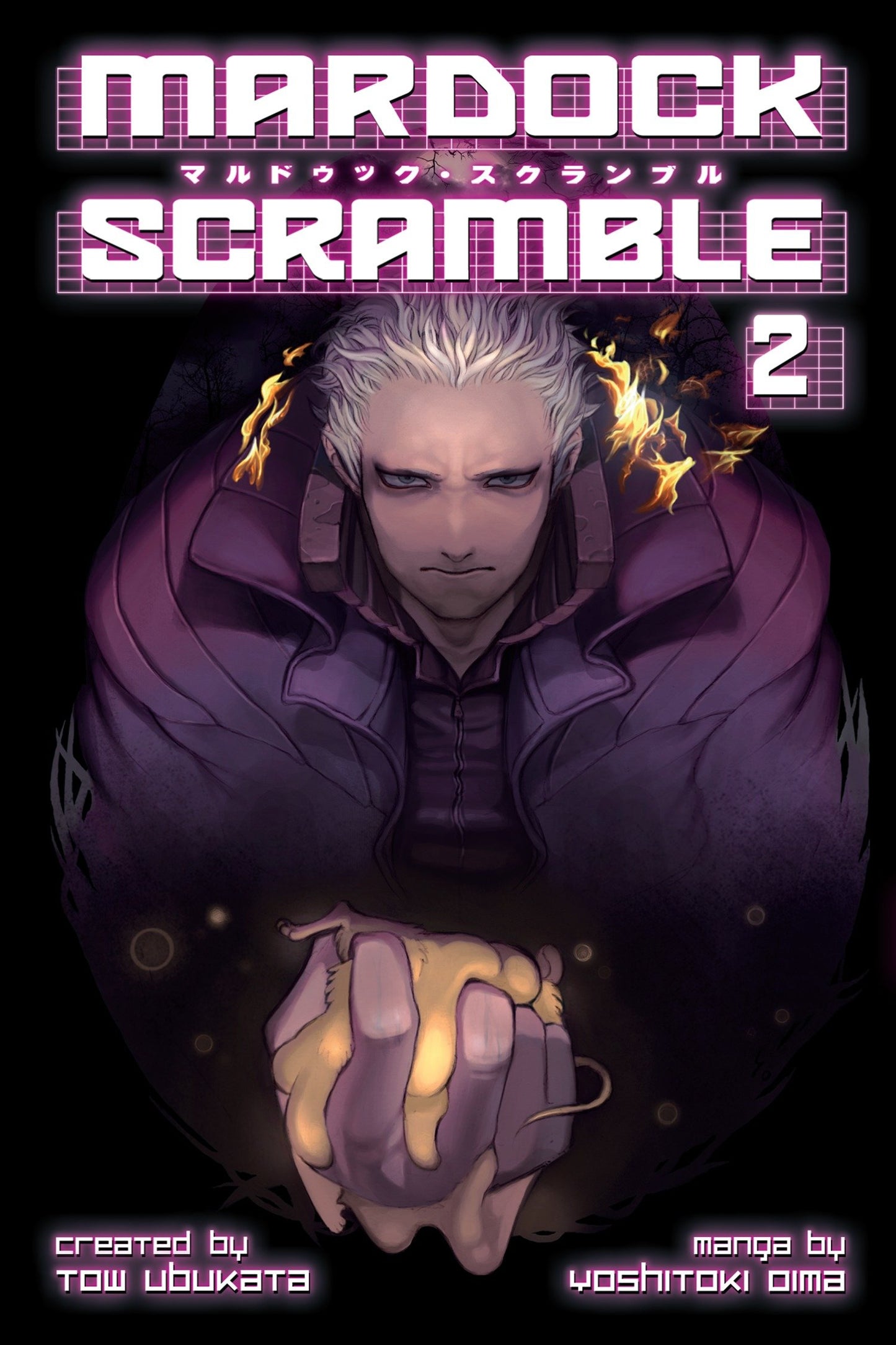 Mardock Scramble 2 (Mardock Scramble) (Book:2)