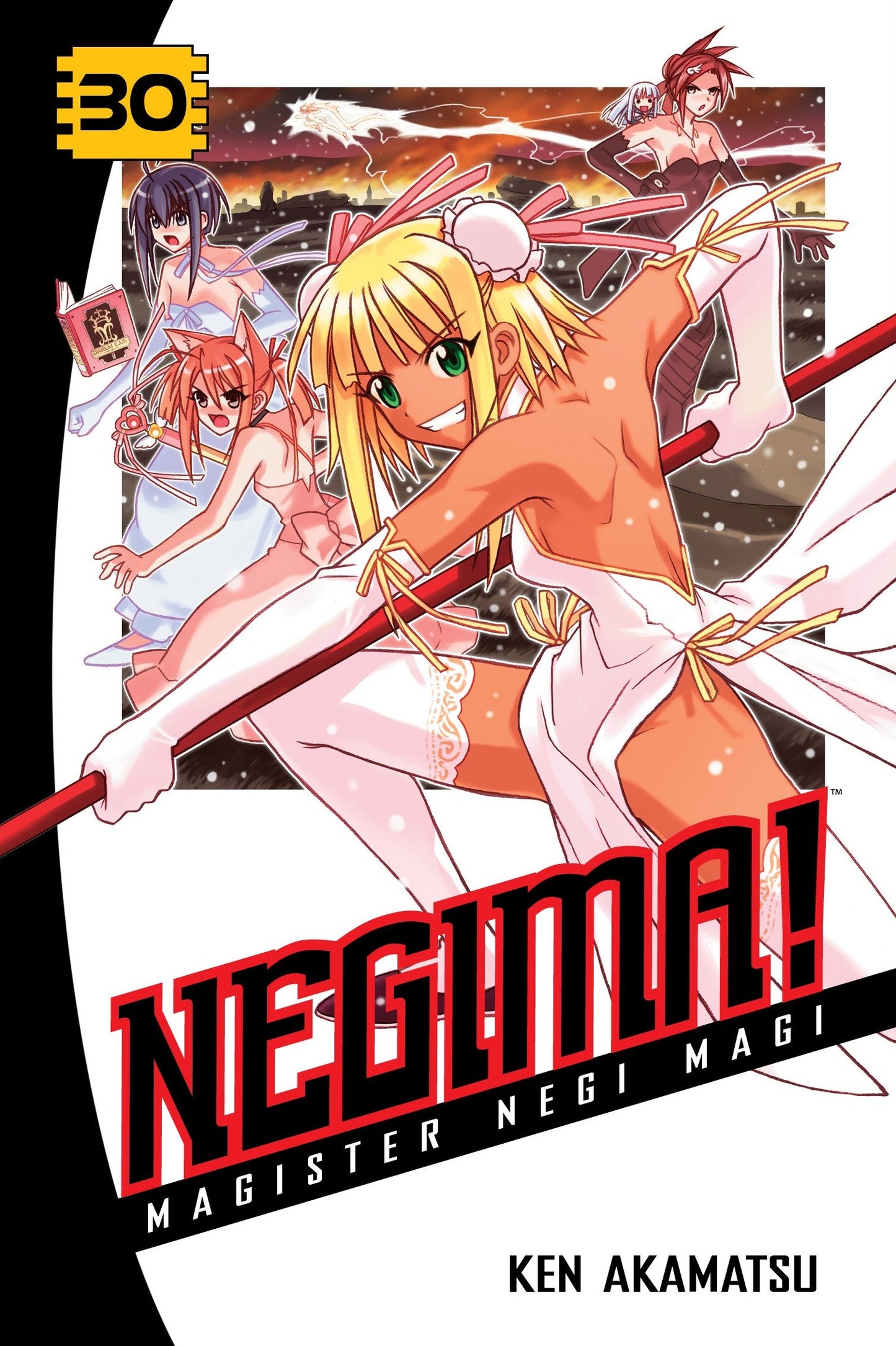 Negima! 30 - Magister Negi Magi (Negima!) (Book:30)