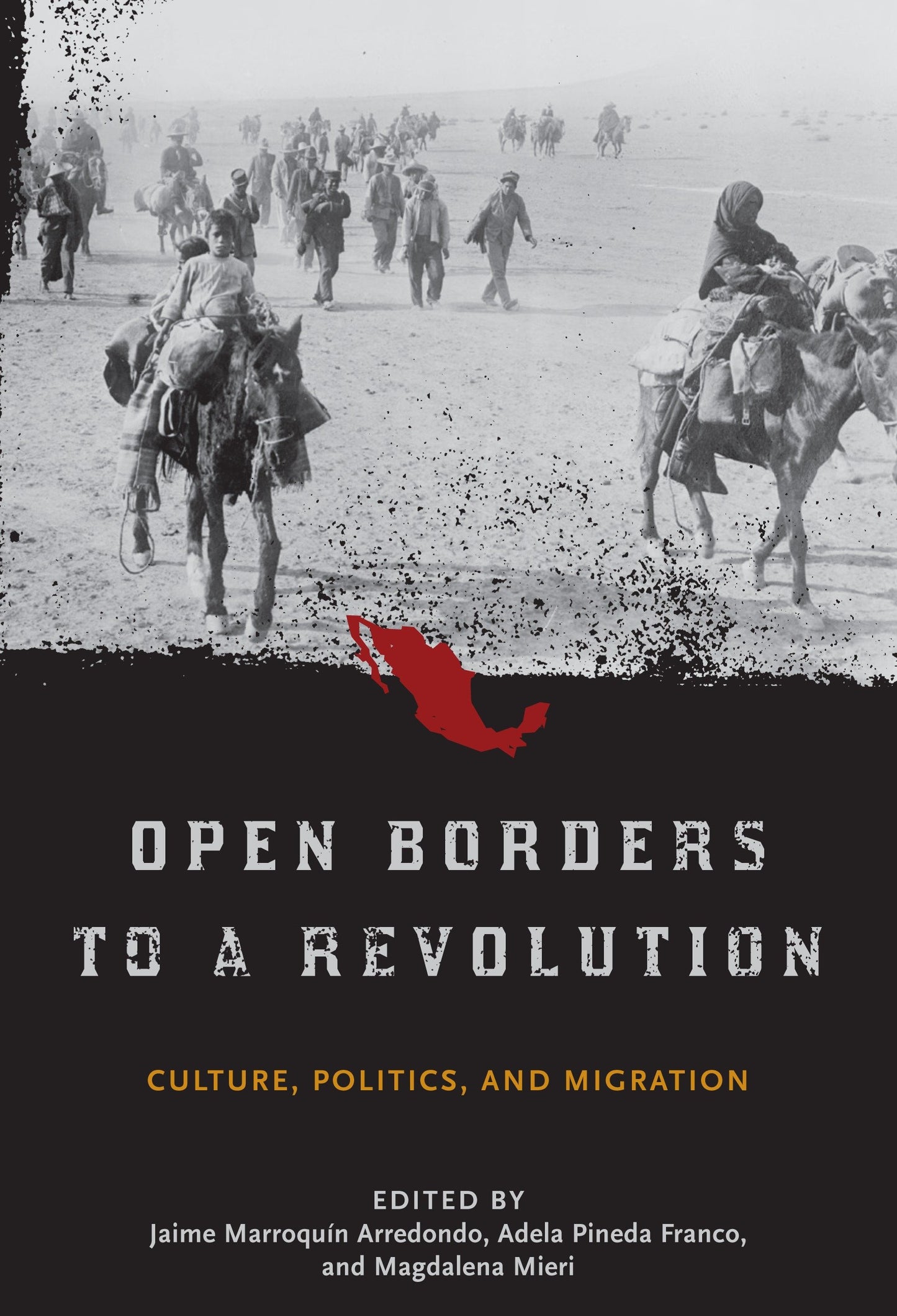 Open Borders to a Revolution - Culture, Politics, and Migration