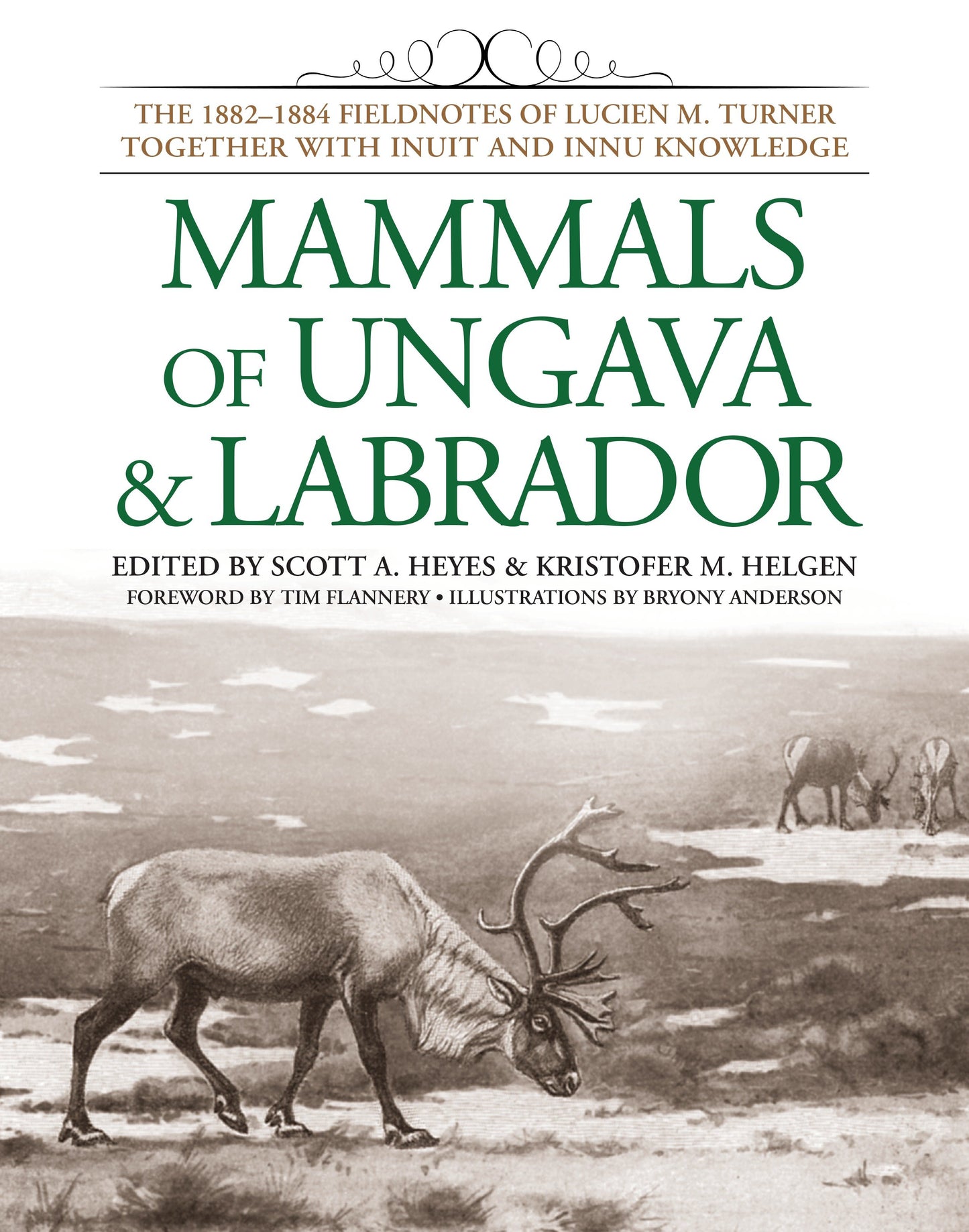Mammals of Ungava and Labrador - The 1882-1884 Fieldnotes of Lucien M. Turner together with Inuit and Innu Knowledge
