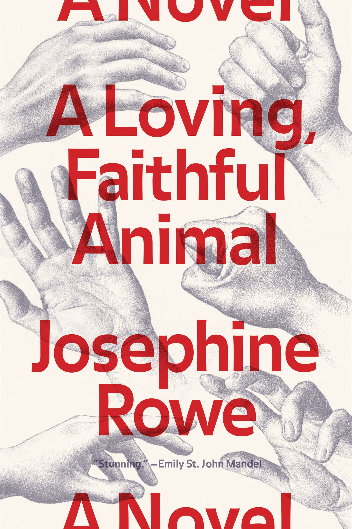 A Loving, Faithful Animal - A Novel