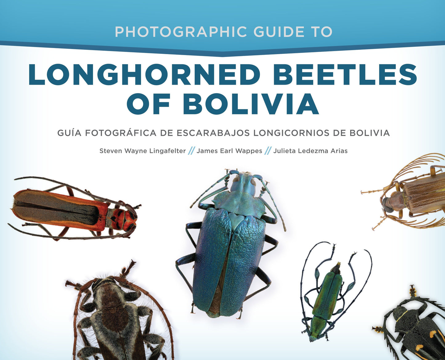 Photographic Guide to Longhorned Beetles of Bolivia - Gu�a Fotogr�fica de Escarabajos Longicornios de Bolivia