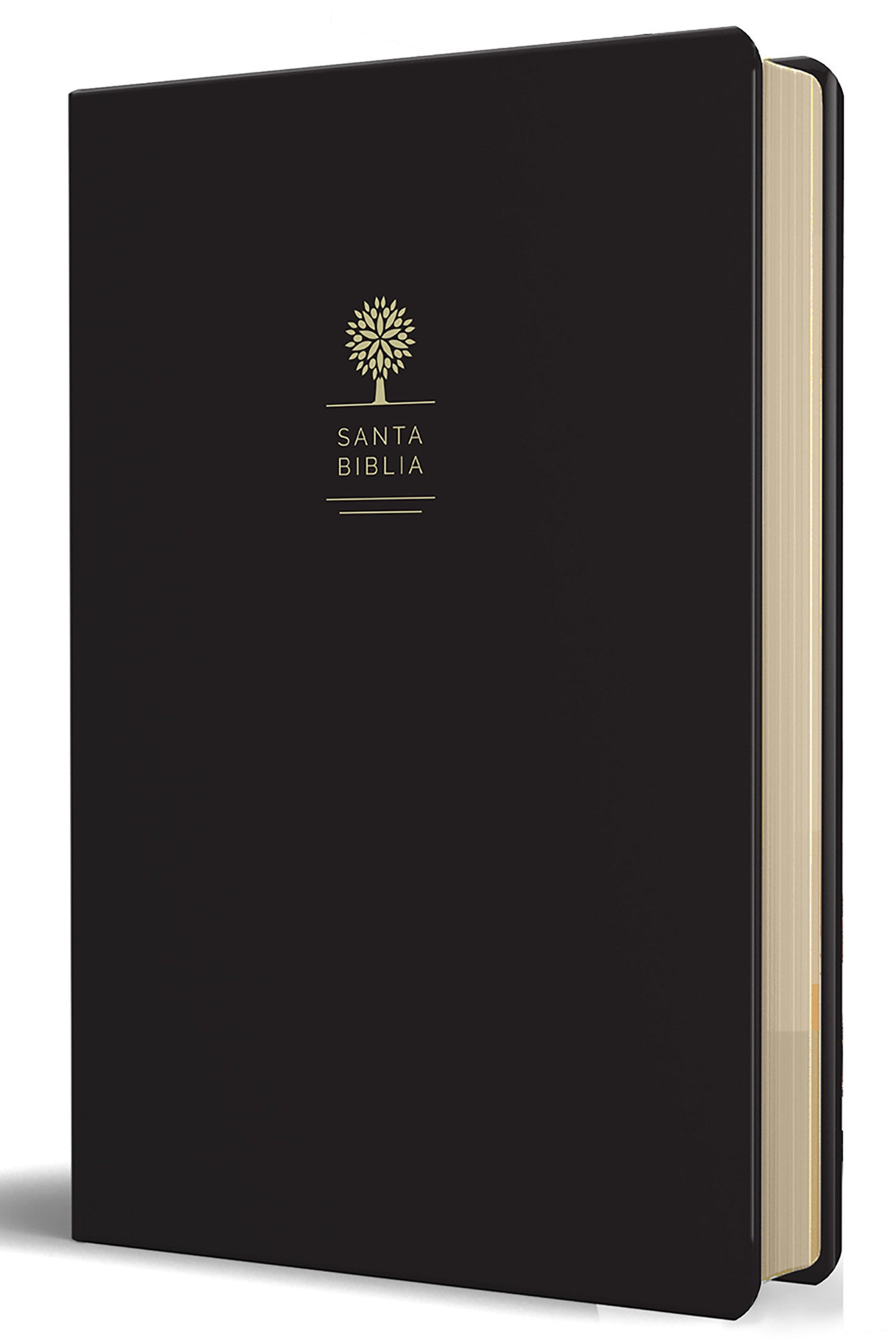 RVR60 Biblia tama�o grande, letra grande, piel negra / Reina Valera 1960 Bible Large size, large print, black leather