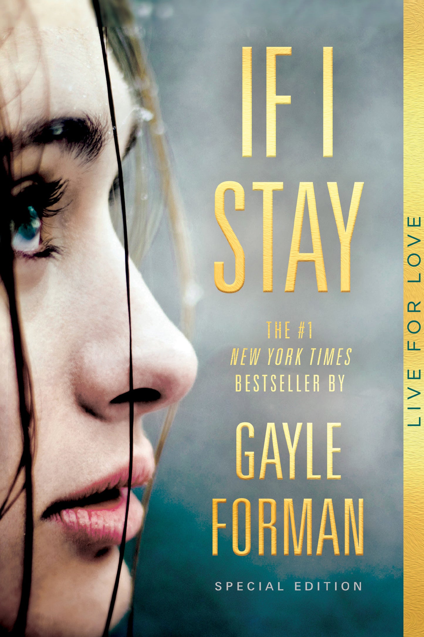 If I Stay - Special Edition