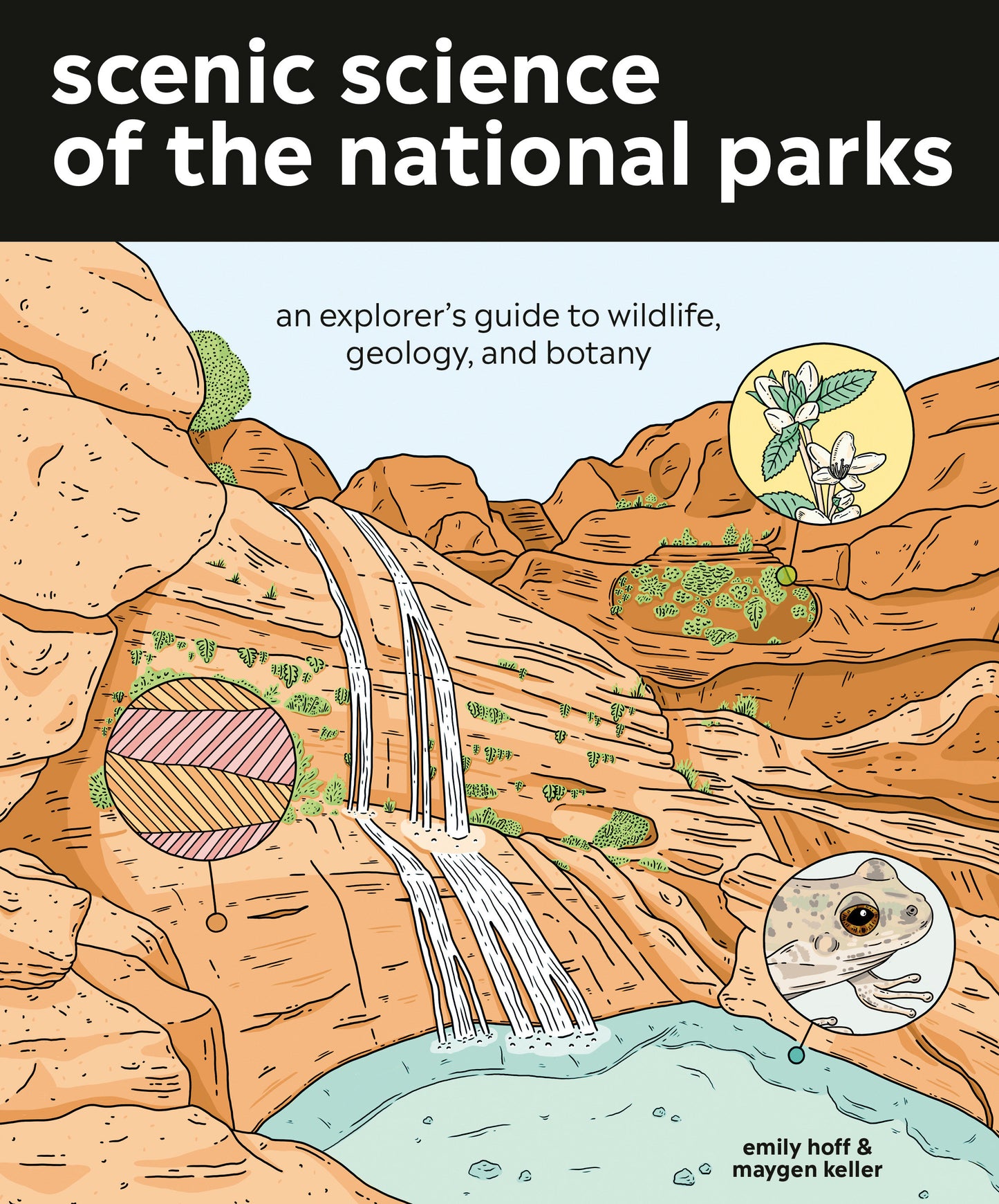 Scenic Science of the National Parks - An Explorer's Guide to Wildlife, Geology, and Botany
