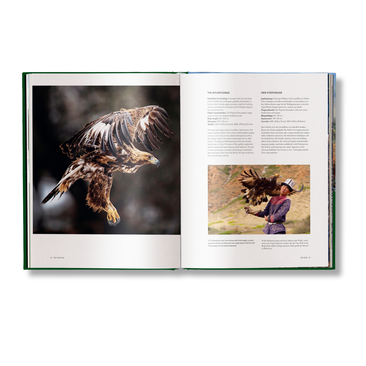 Hunting - The Ultimate Book