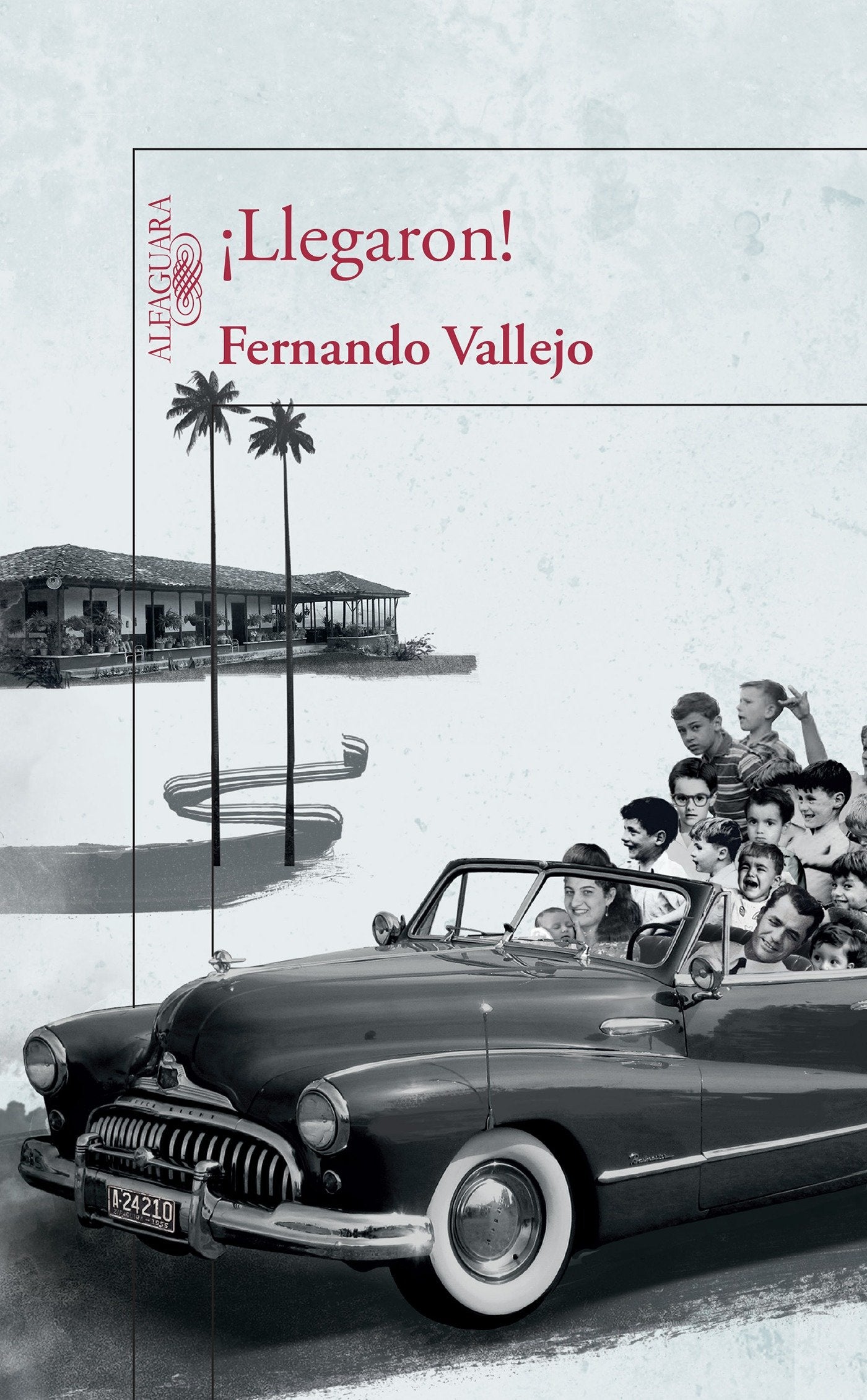 �Llegaron! / They've Arrived!