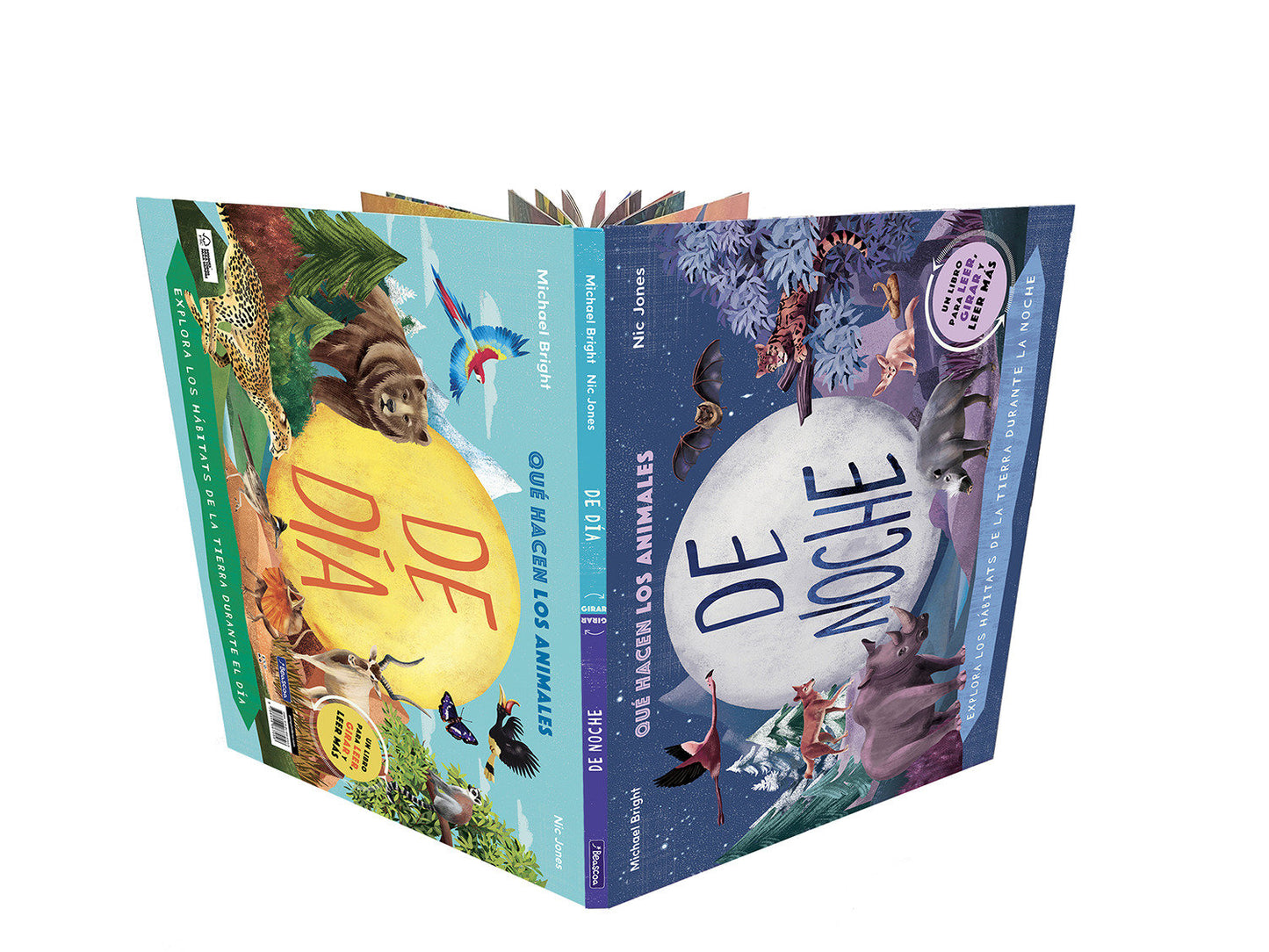 Qu� hacen los animales de d�a... y de noche / Day to Night: A Flip Book