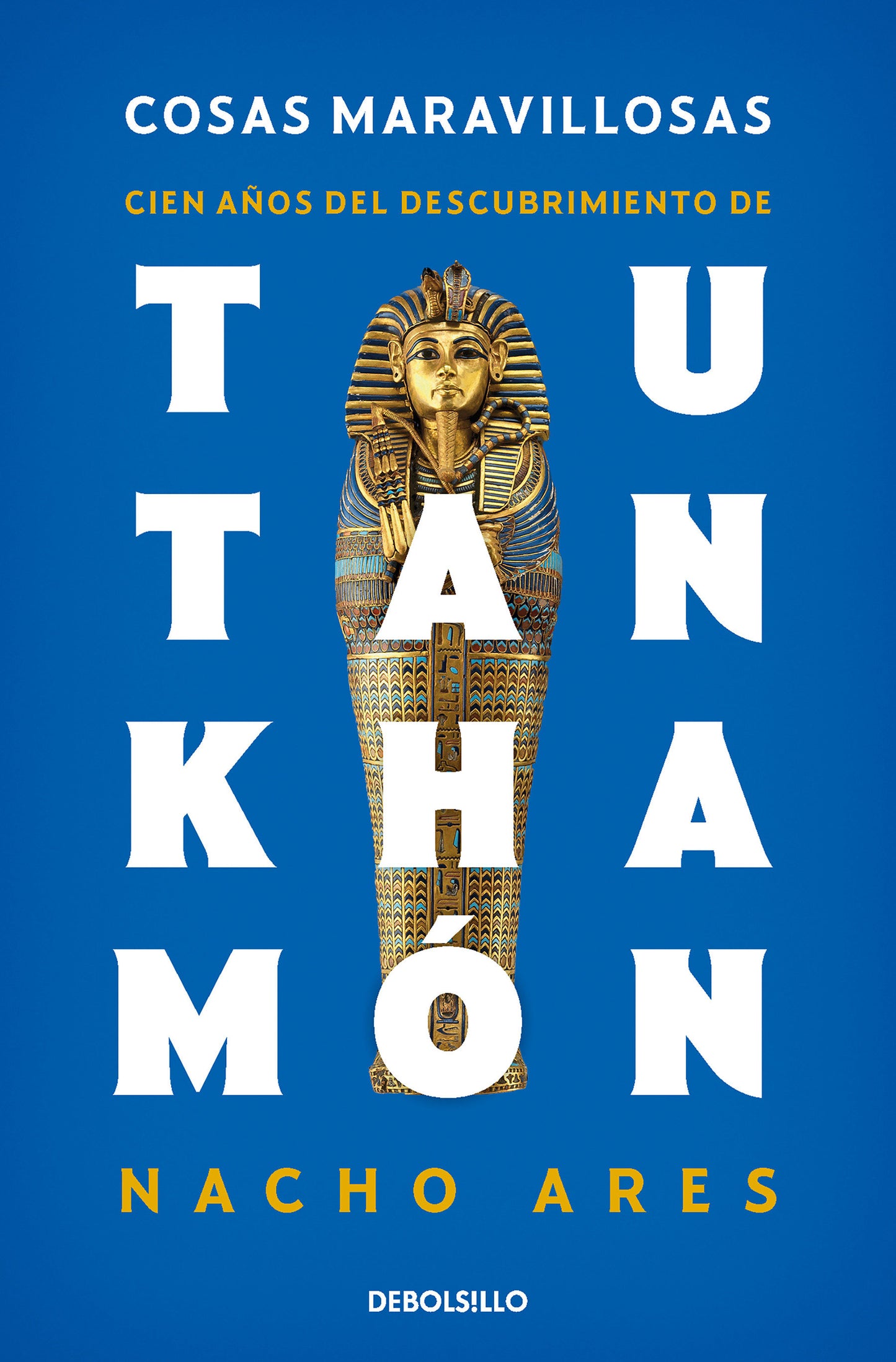 Cosas maravillosas. Cien a�os del descubrimiento de Tutankham�n / The Discovery of Tutankhamun's Tomb