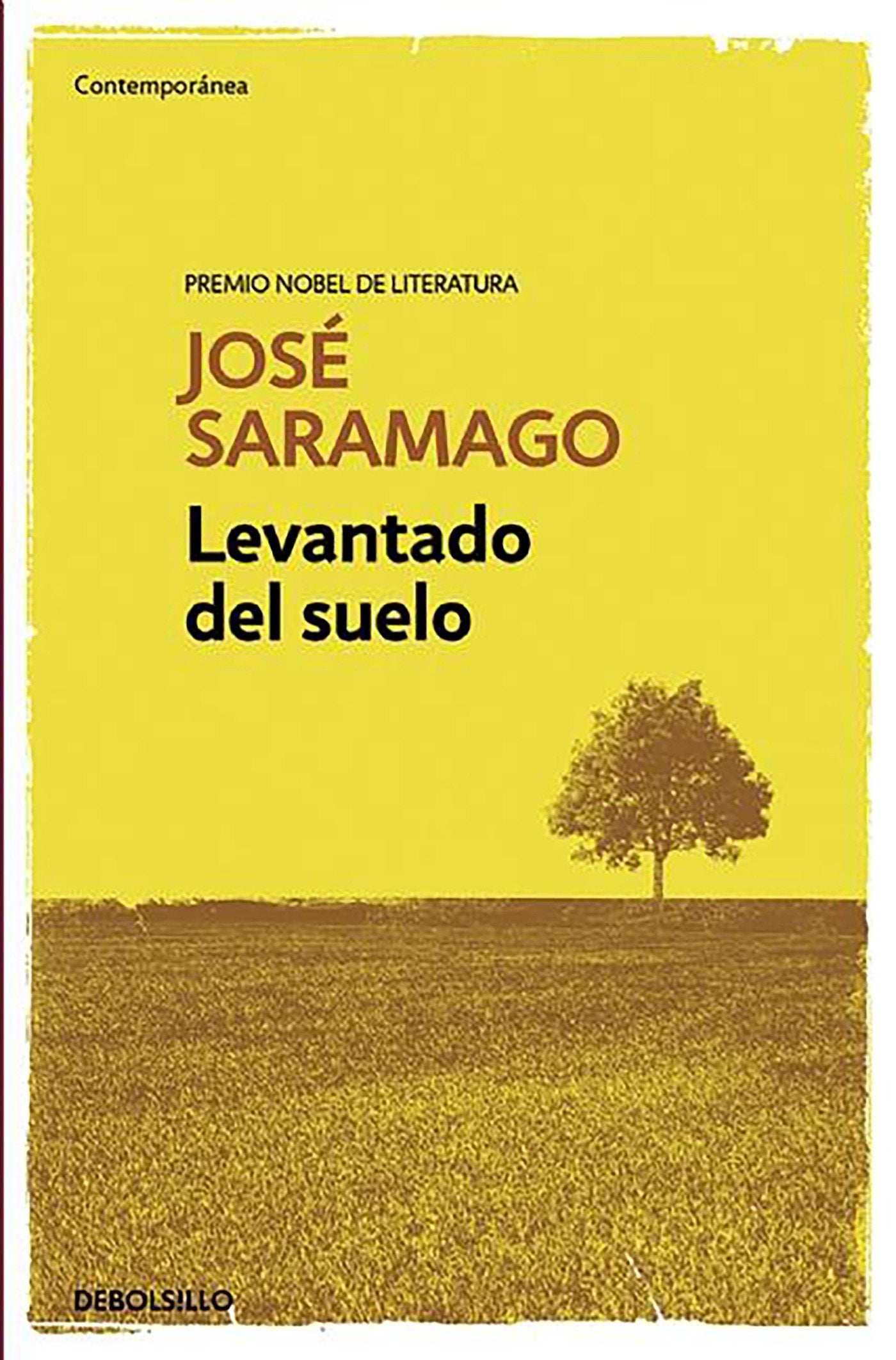 Levantado del suelo / Raised from the Ground