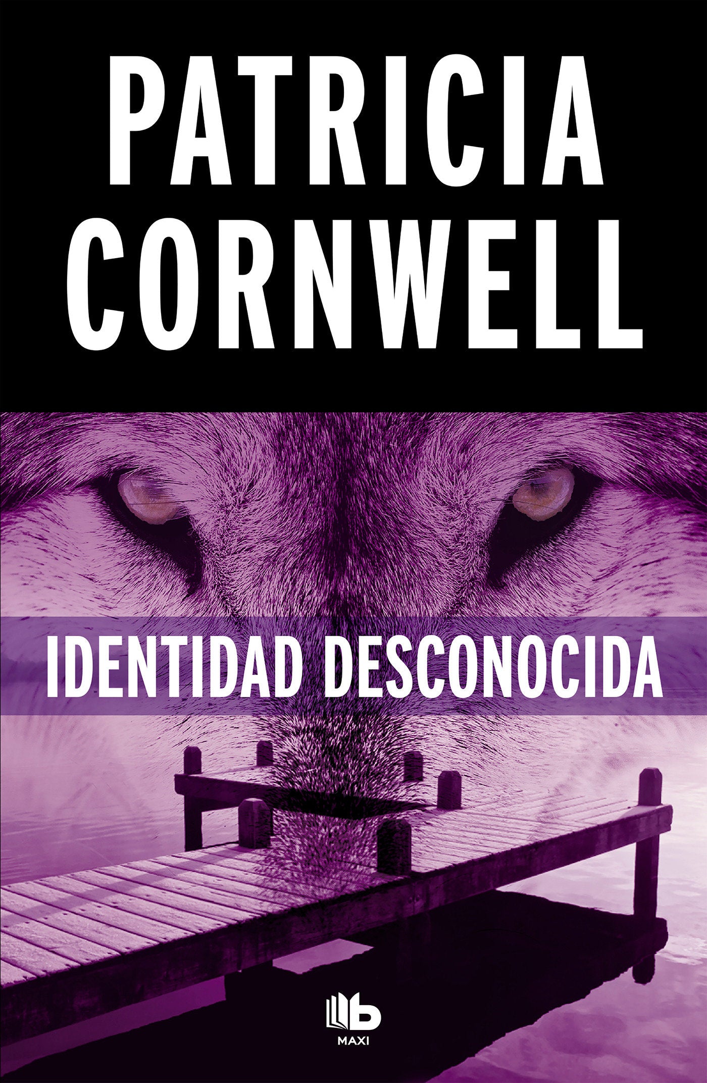 Identidad desconocida / Black Notice (Doctora Kay Scarpetta) (Book:10)
