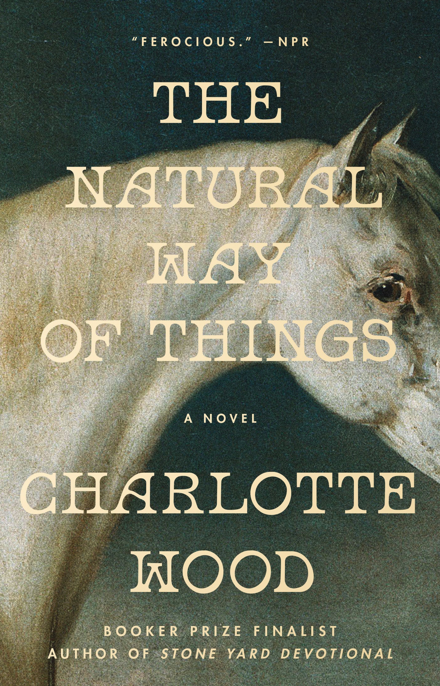 The Natural Way of Things - A Novel