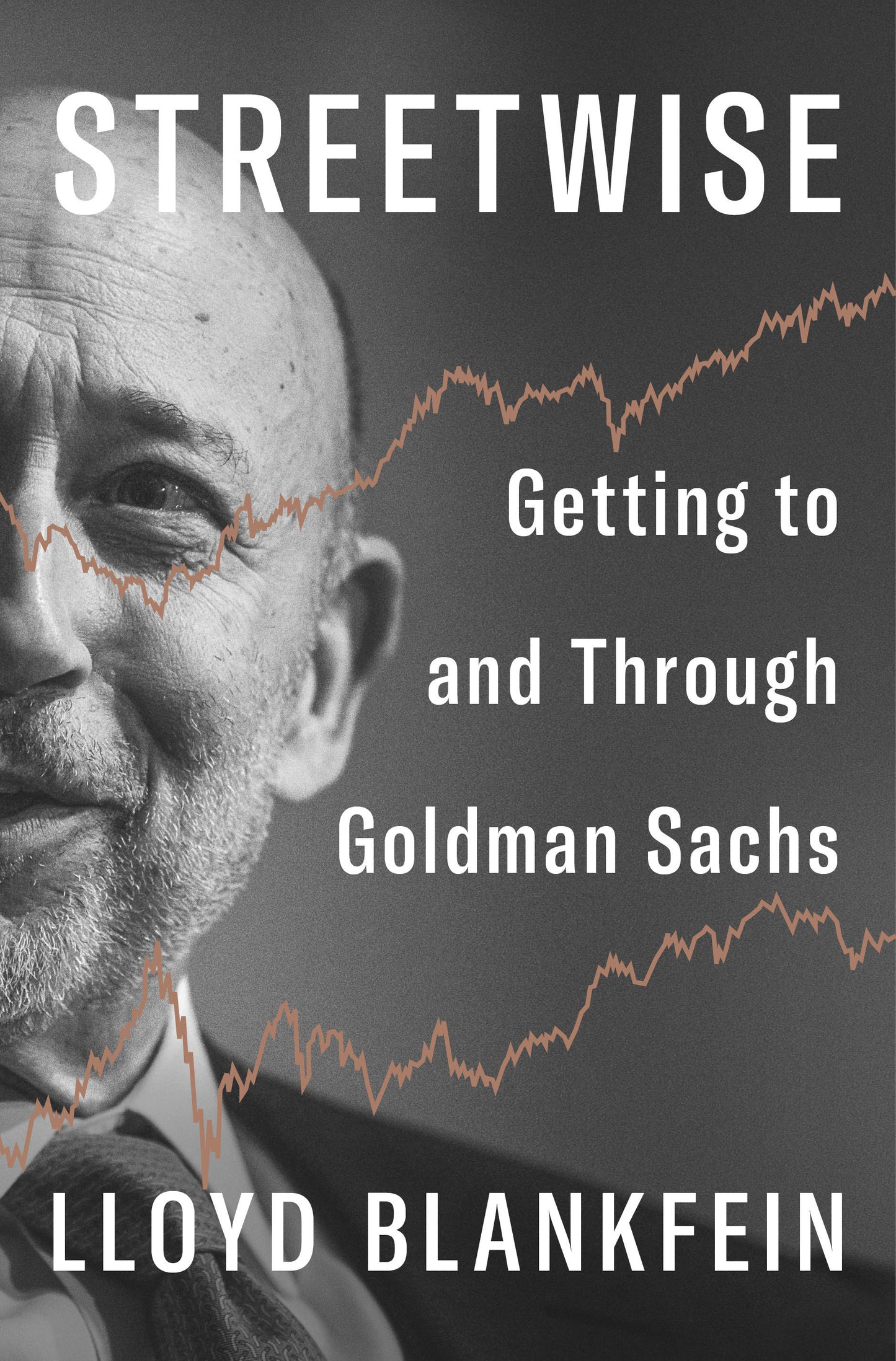 Streetwise - Getting to and Through Goldman Sachs