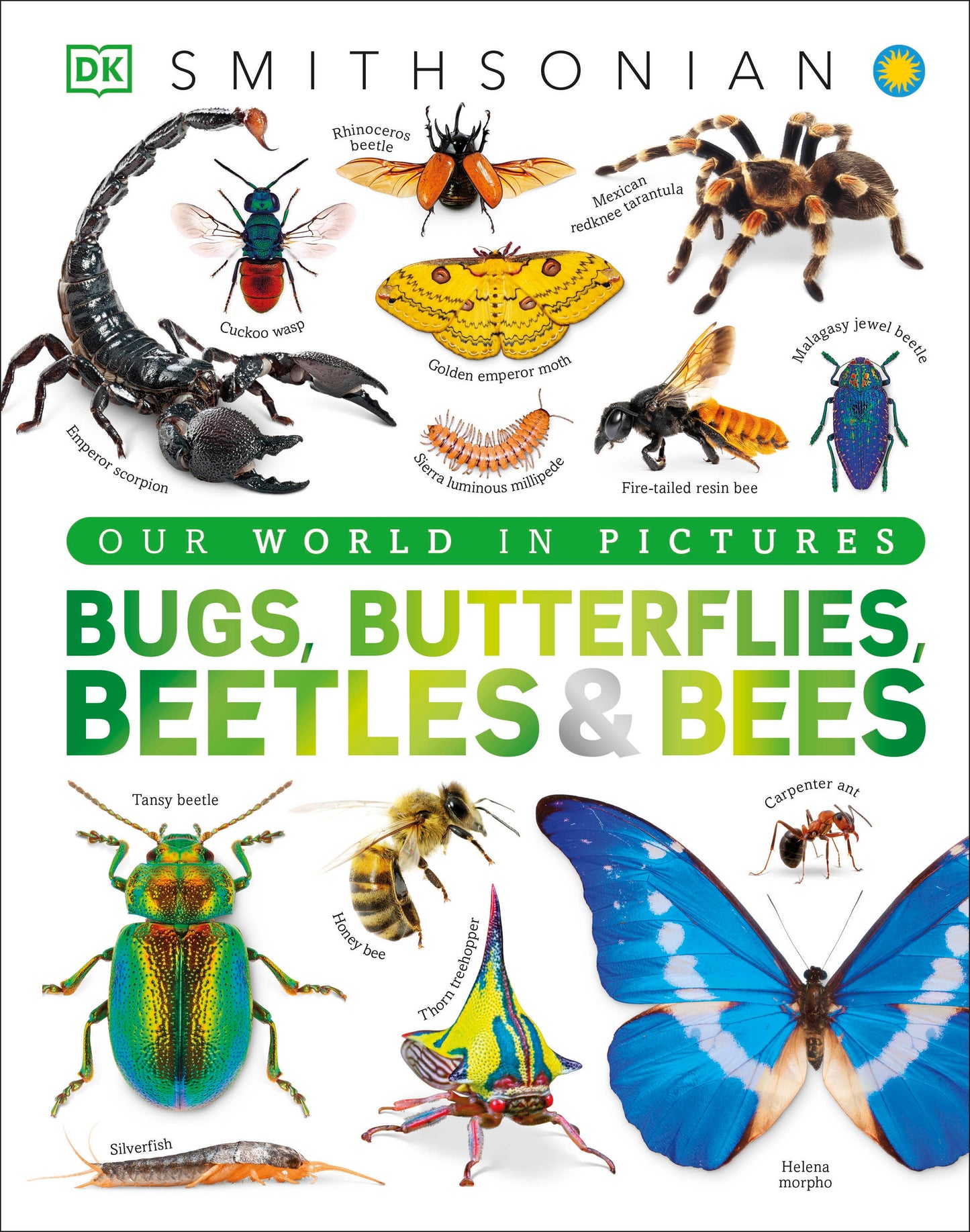 Our World in Pictures Bugs, Butterflies, Beetles and Bees (DK Our World in Pictures)