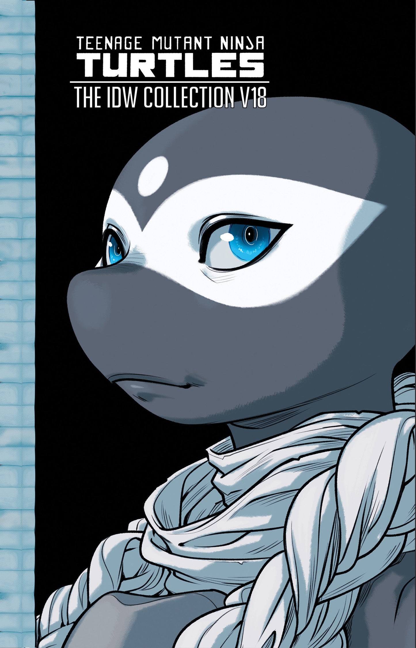 Teenage Mutant Ninja Turtles: The IDW Collection, Volume 18 (TMNT IDW Collection) (Book:18)