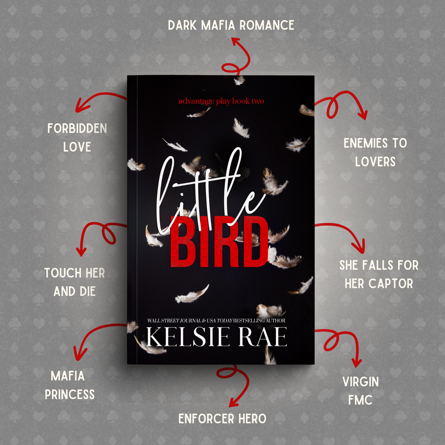 Advantage Play Series Paperback Bundle