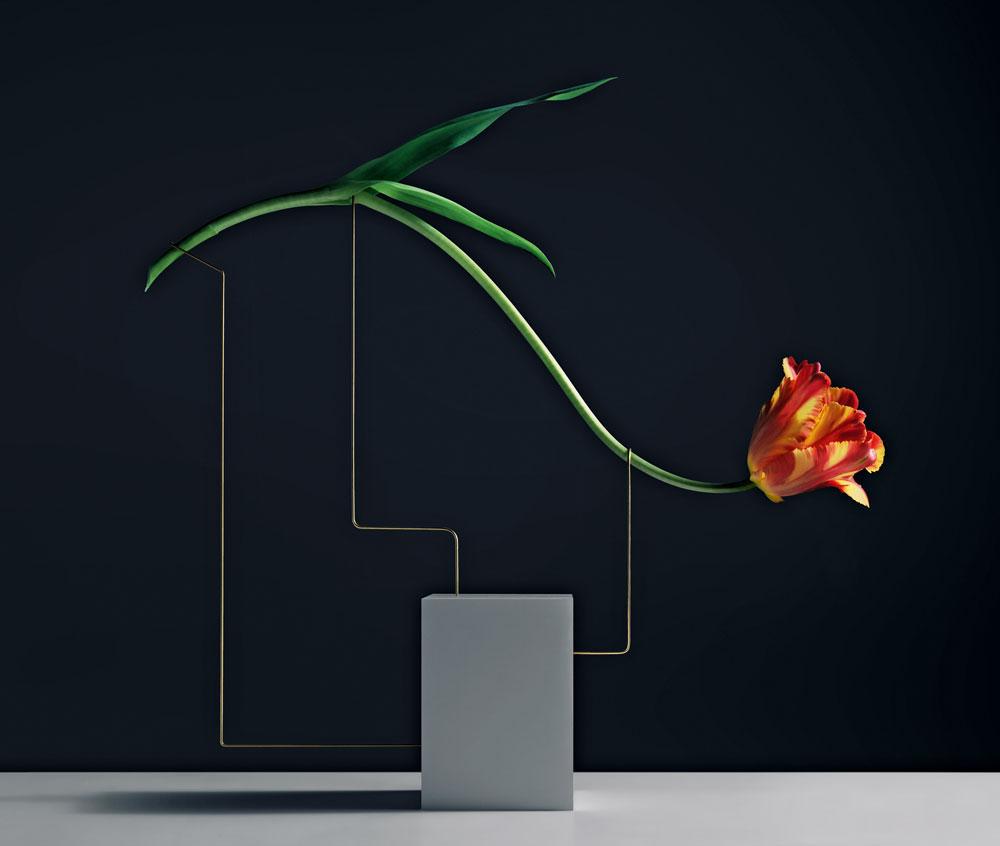 The Still Life