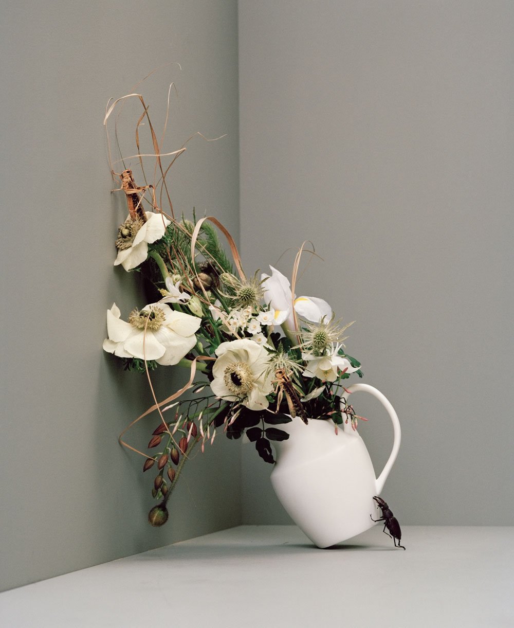 The Still Life