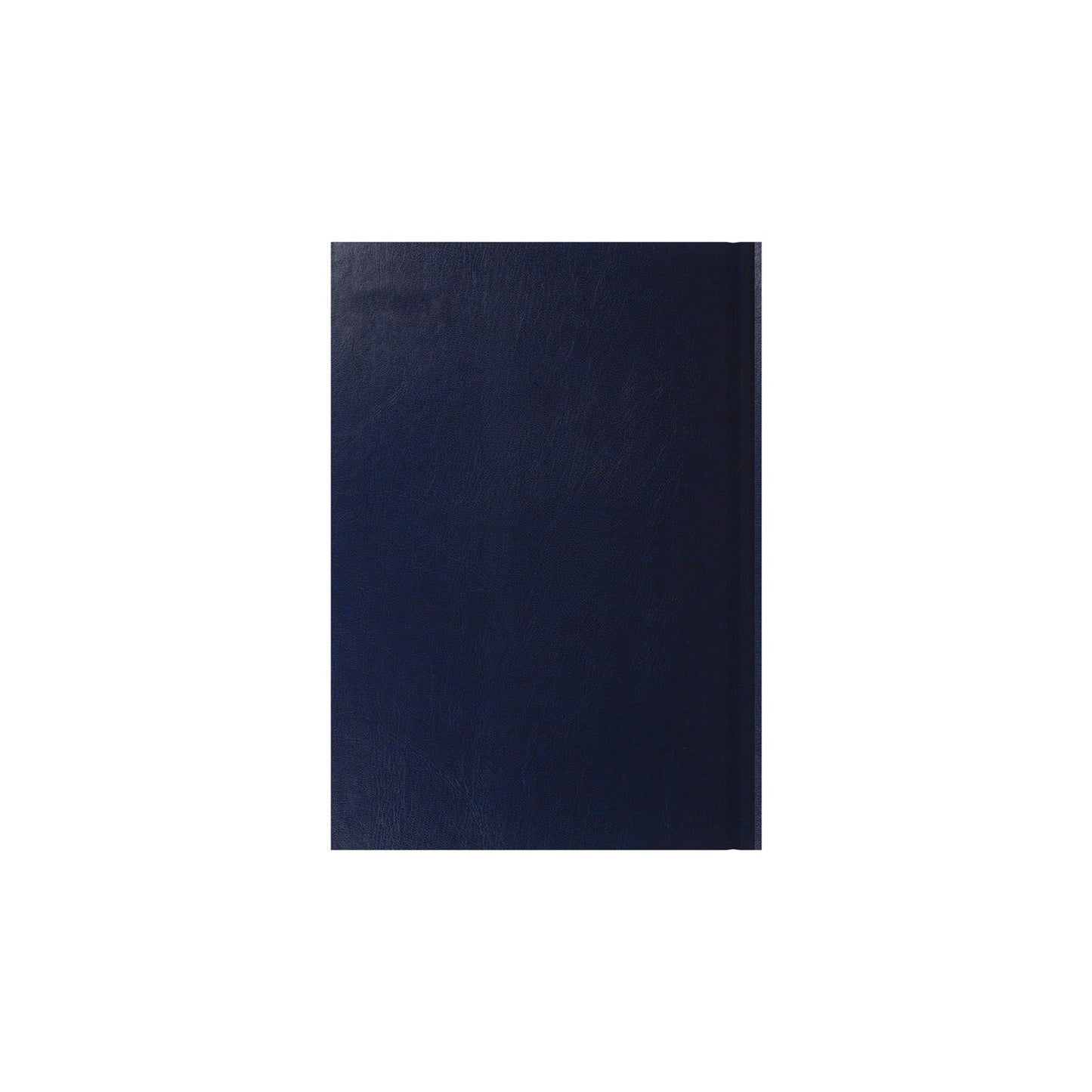 Essentials - A5 Day-to-Page with Appointments Mid/Academic Year Diary Planner, July 2025 - July 2026