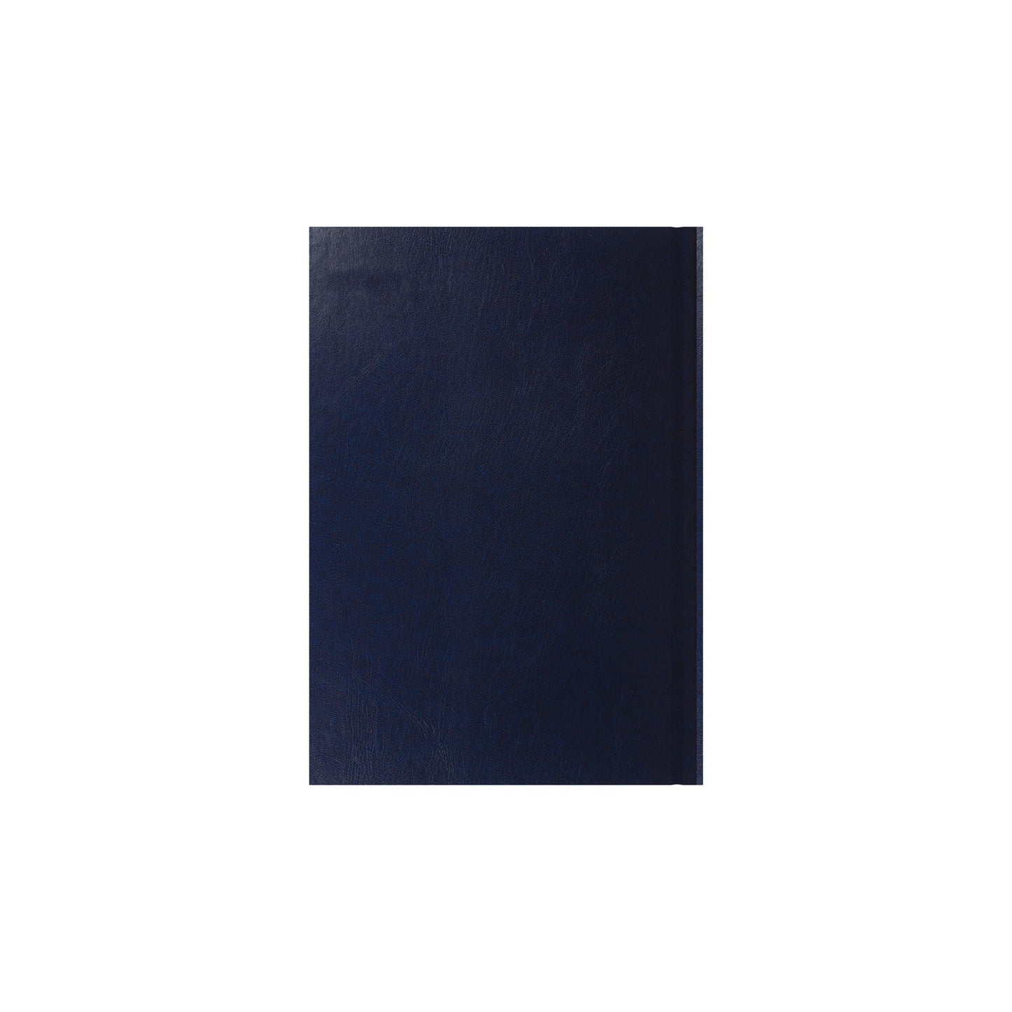 Essentials - A5 Week-to-View with Appointments Mid/Academic Year Diary Planner 2025-2026