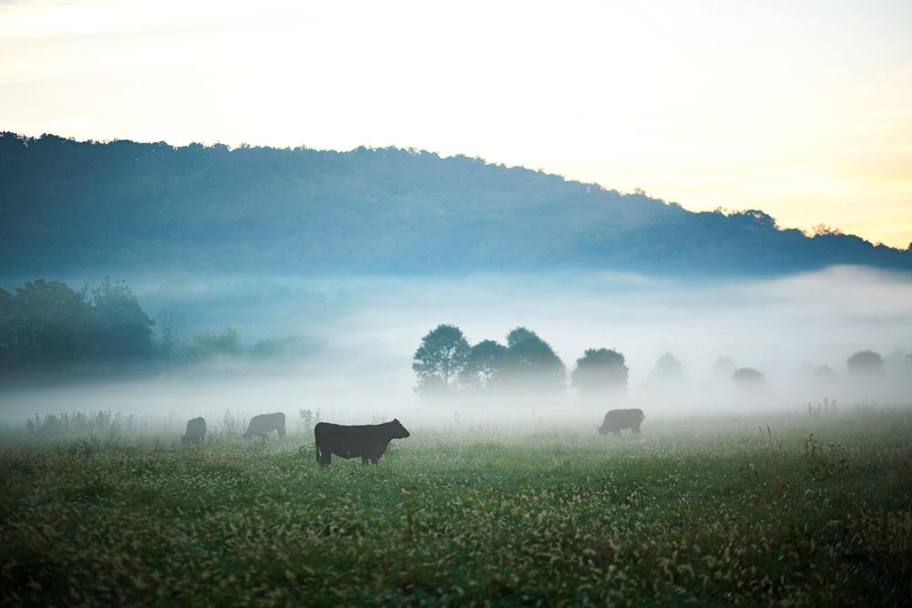 Farmlife